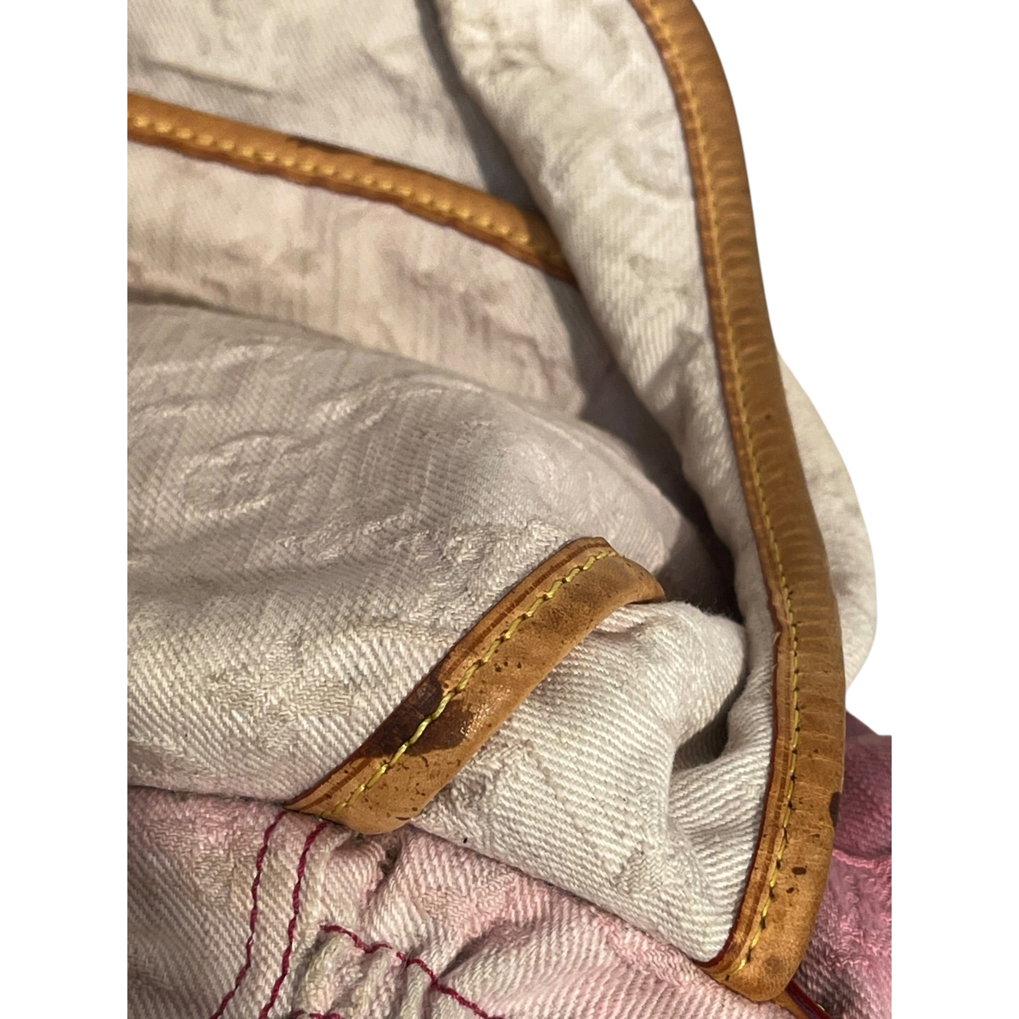 LOUIS VUITTON/Hand Bag/Cotton/MLT/pink ombre 2010 view 13