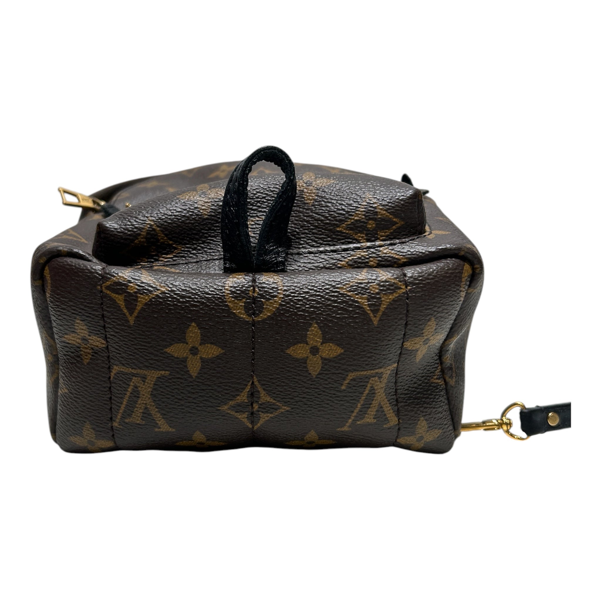 LOUIS VUITTON/Backpack/Monogram/Leather/BRW/MINI BACKPACK PALM SPRINGS view 3