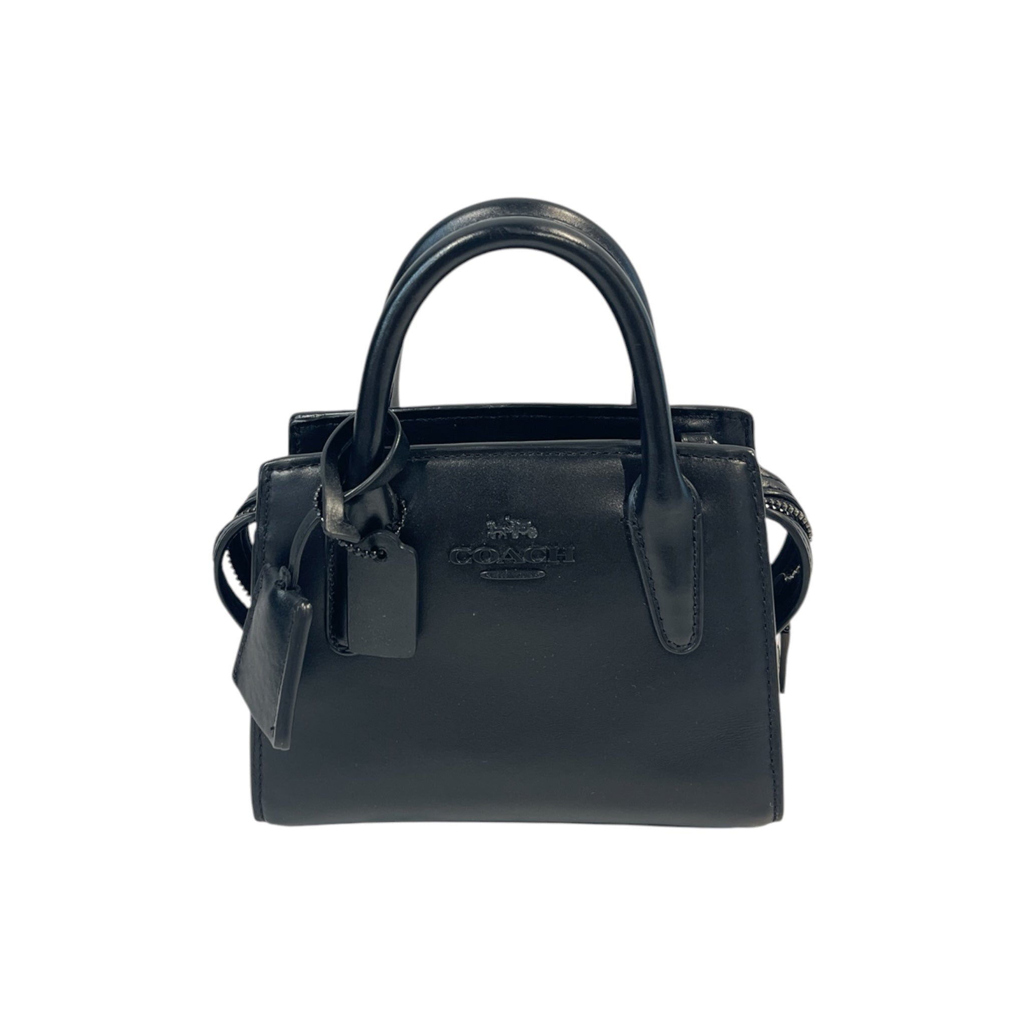 COACH/Bag/Leather/BLK/ANDREA MINI CARRYALL view 1