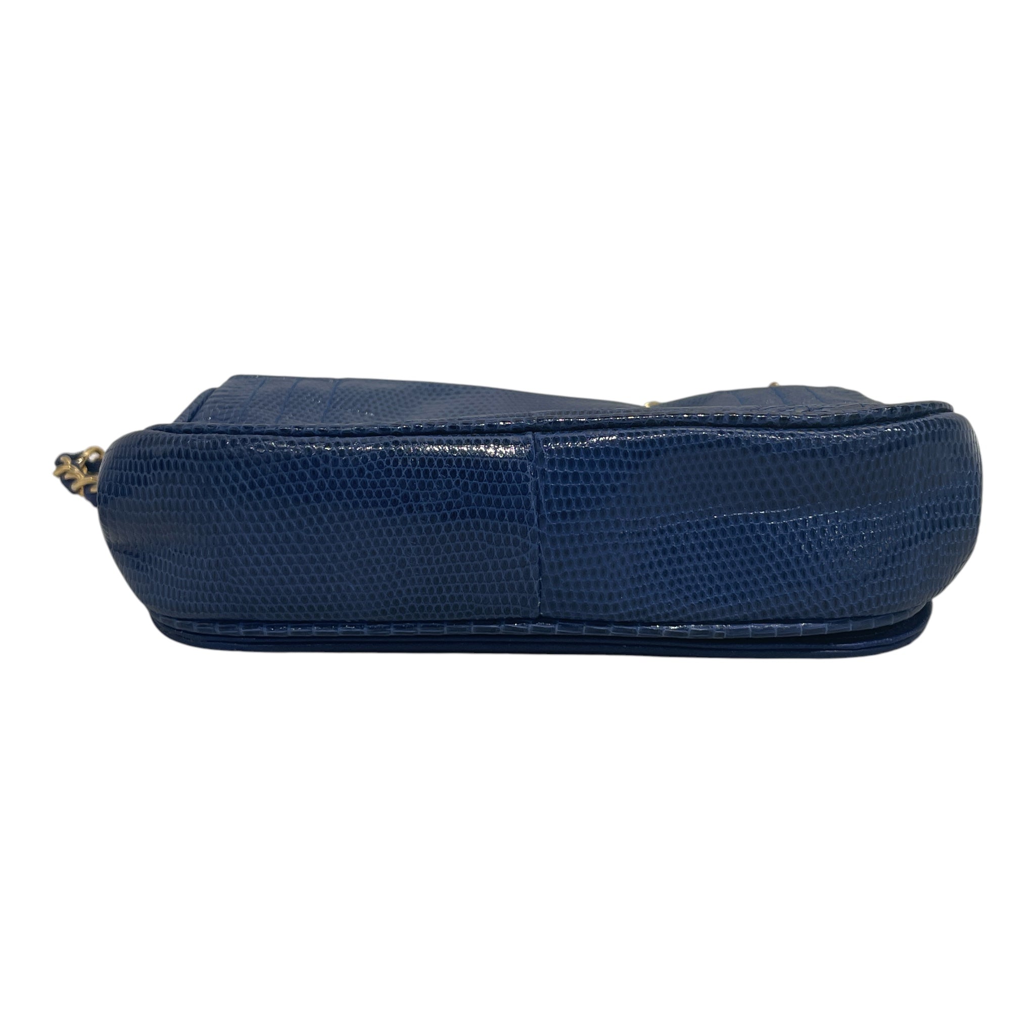 CHANEL/Cross Body Bag/Acrylic/BLU/lizard flap bag view 3