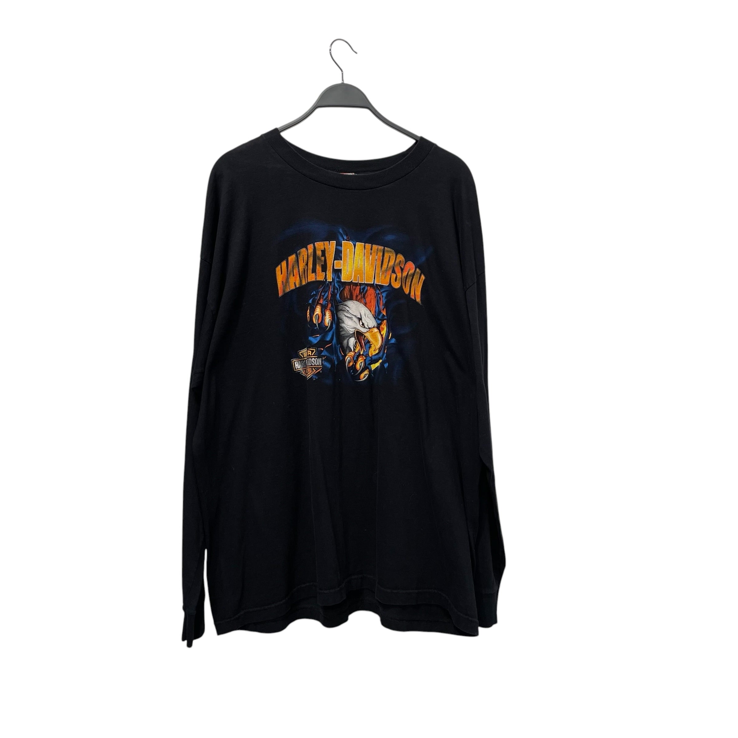 HARLEY DAVIDSON/LS T-Shirt/Cotton/BLK/Graphic/VALPARAISO TEE view 1
