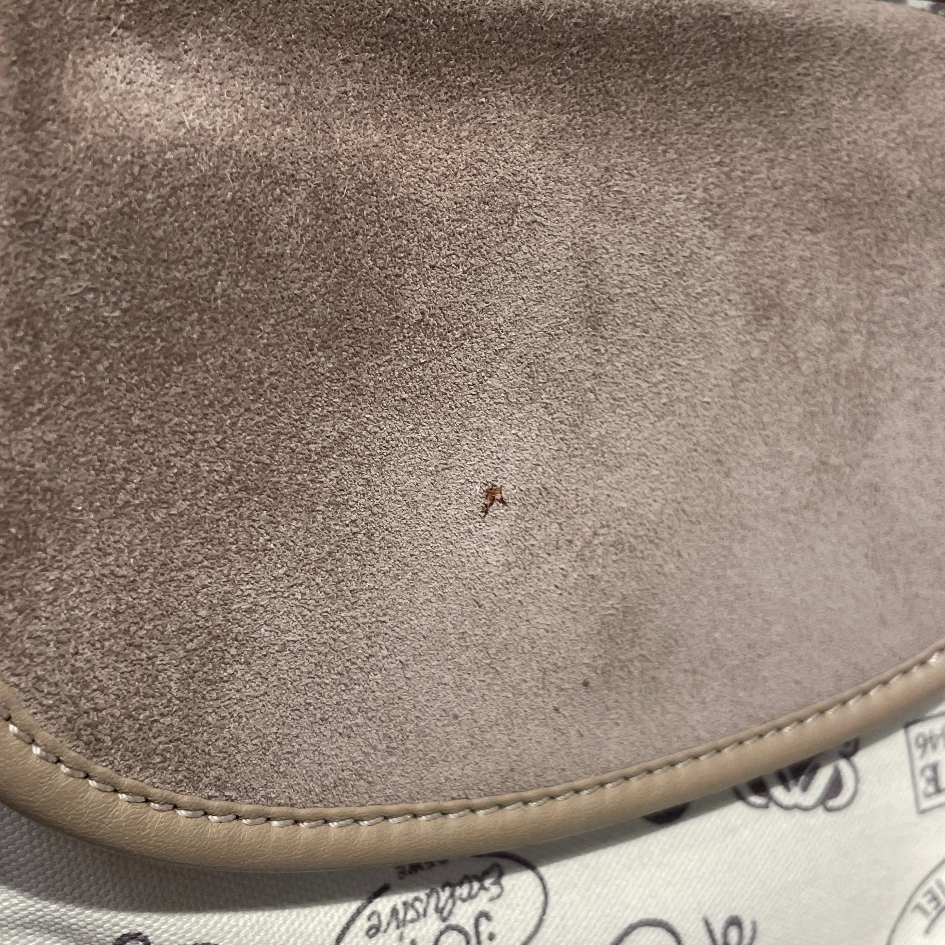 LOEWE/Cross Body Bag/All Over Print/Cotton/CRM/160TH ANIVERSARIO view 5
