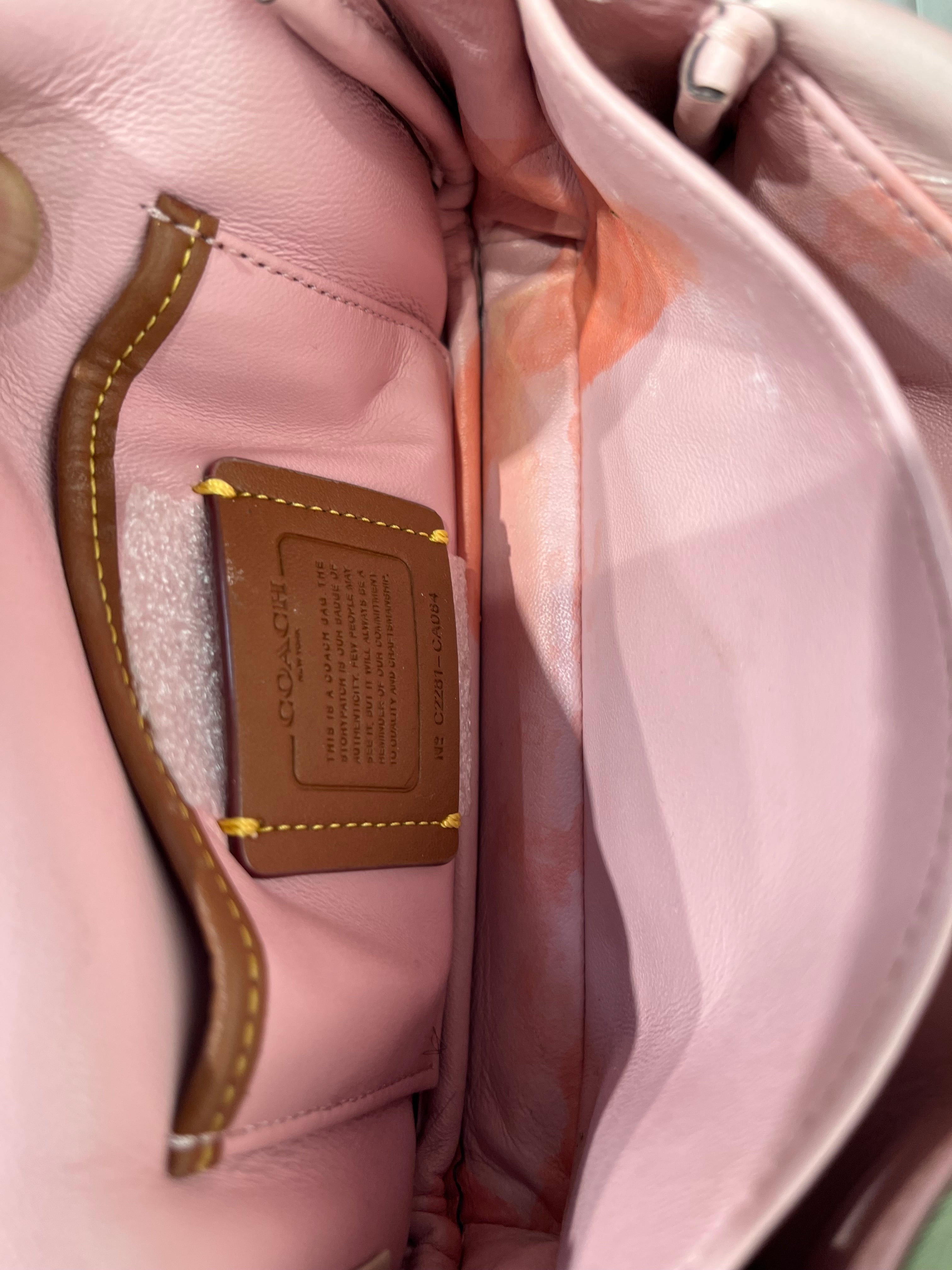 COACH/Clutch Bag/Leather/MLT/Pillow Tabby Ombre view 8