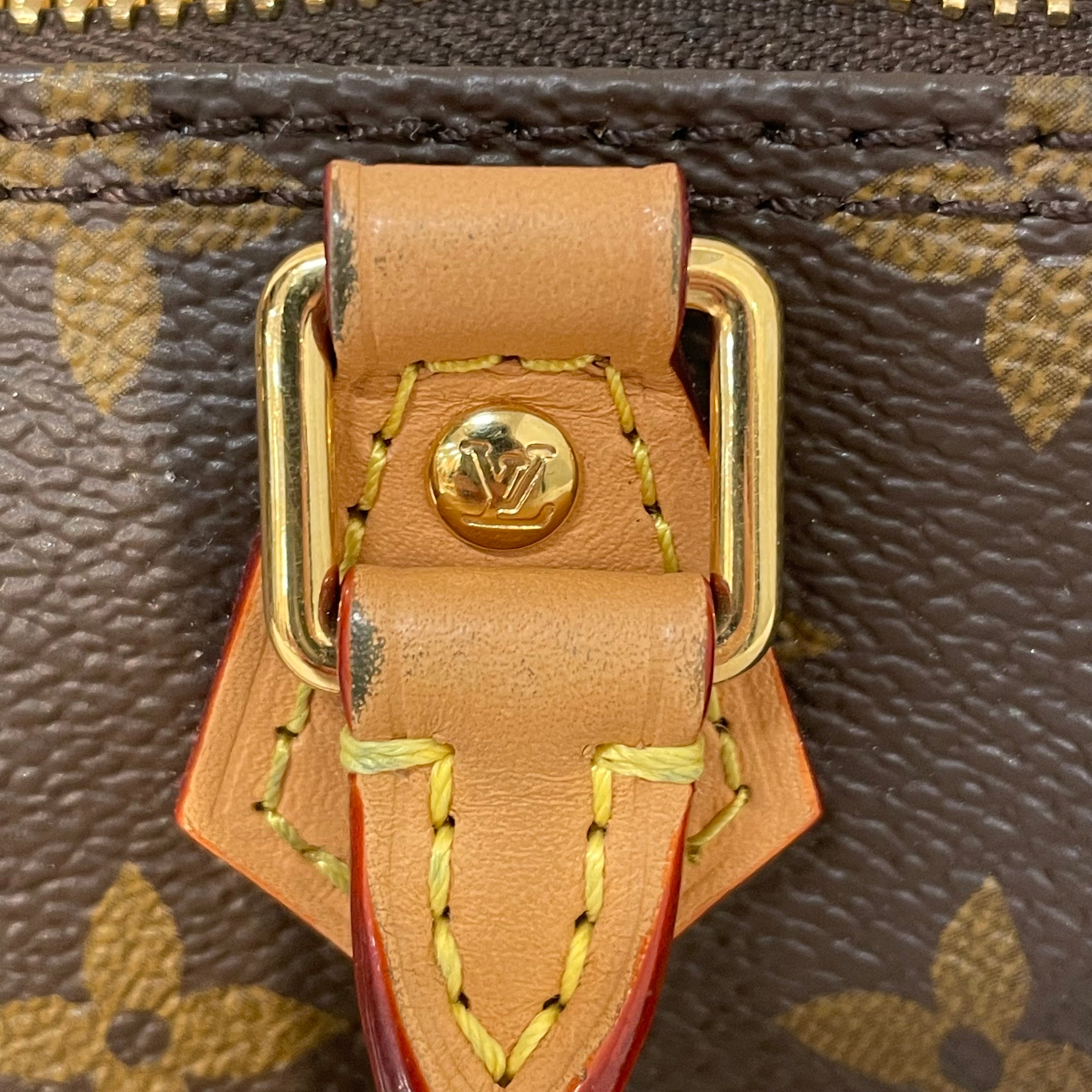 LOUIS VUITTON/Cross Body Bag/Monogram/Leather/BRW/Nano Speedy view 11