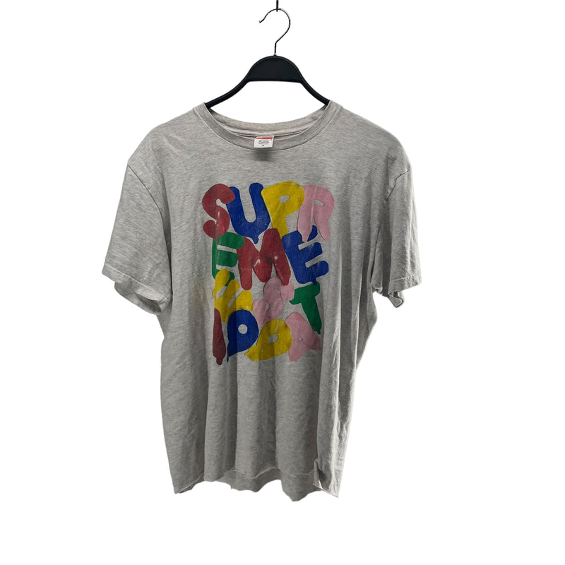 Supreme/T-Shirt/M/Cotton/GRY/Rainbow Letterrs