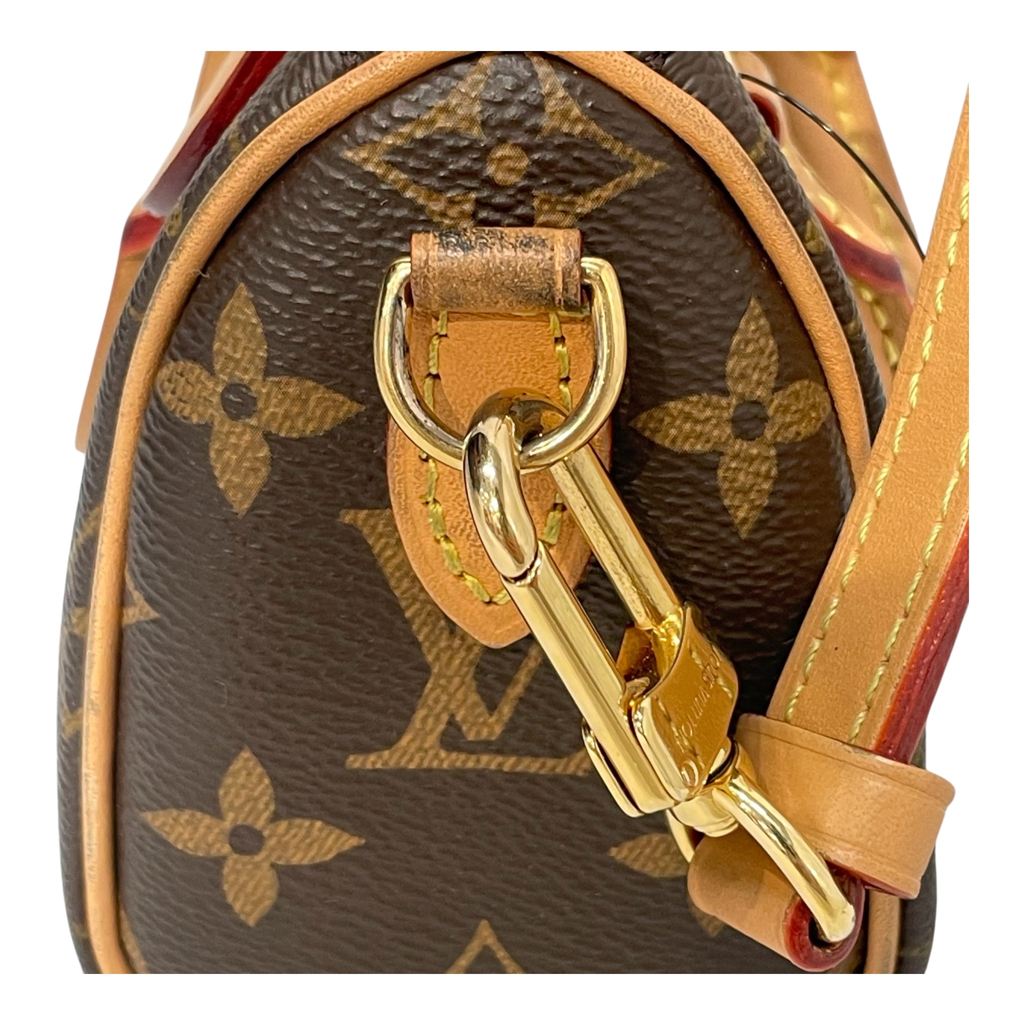 LOUIS VUITTON/Cross Body Bag/Monogram/Leather/BRW/Nano Speedy view 10