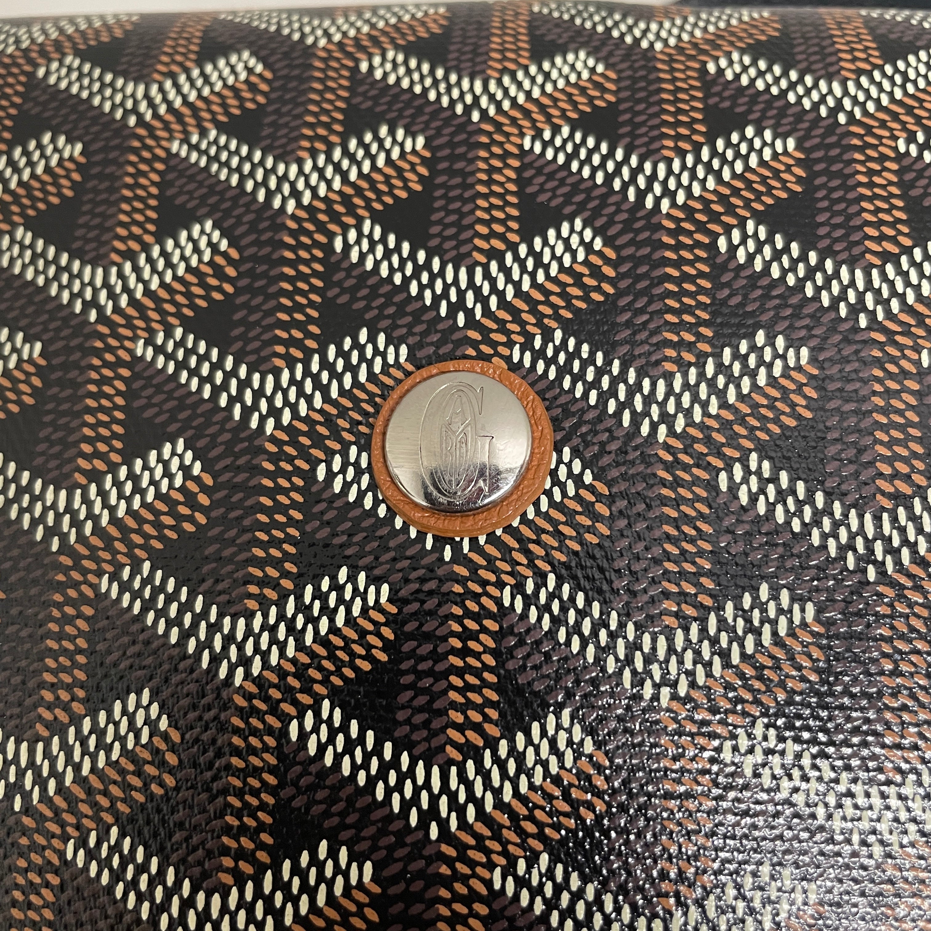 GOYARD/Cross Body Bag/Leather/BRW/WYJ2849 view 5