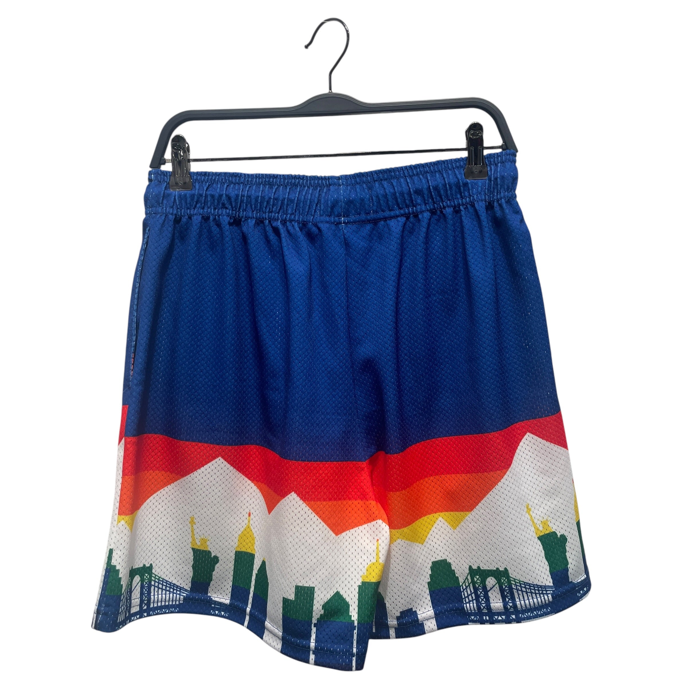 Eric Emanuel/Shorts/L/Acrylic/BLU/All Over Print/ view 2