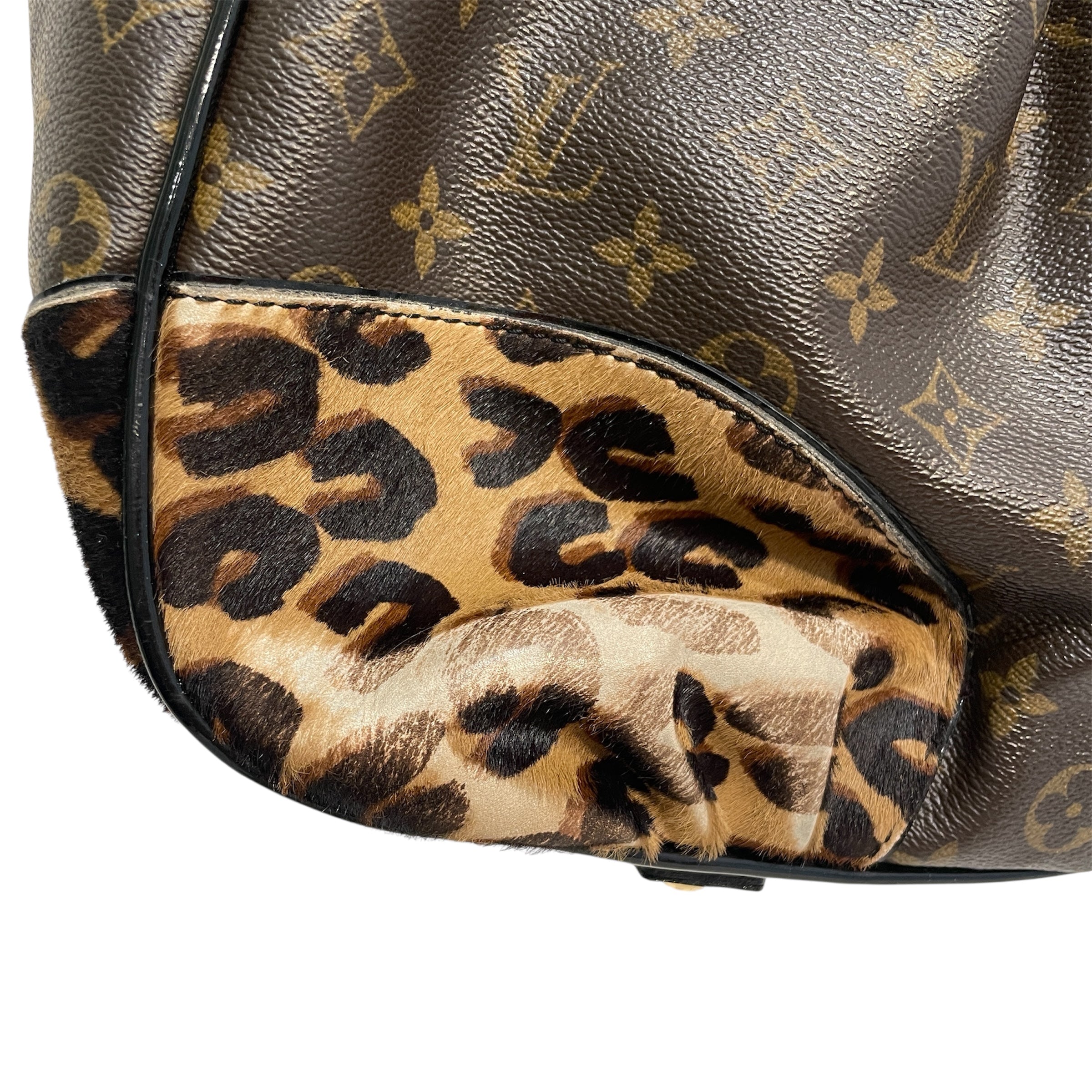 LOUIS VUITTON/Hand Bag/Monogram/Leather/BRW/Monogram Leopard Polly view 9