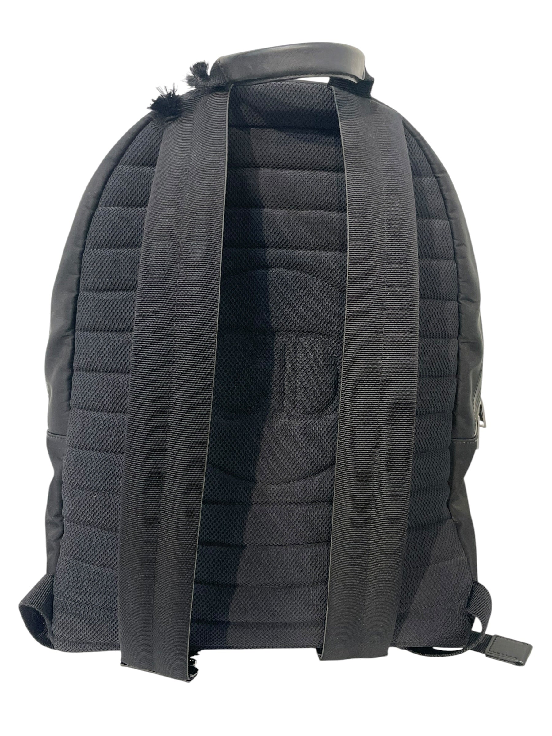 Dior HOMME/Backpack/Graphic/Nylon/BLK/francois bard view 2
