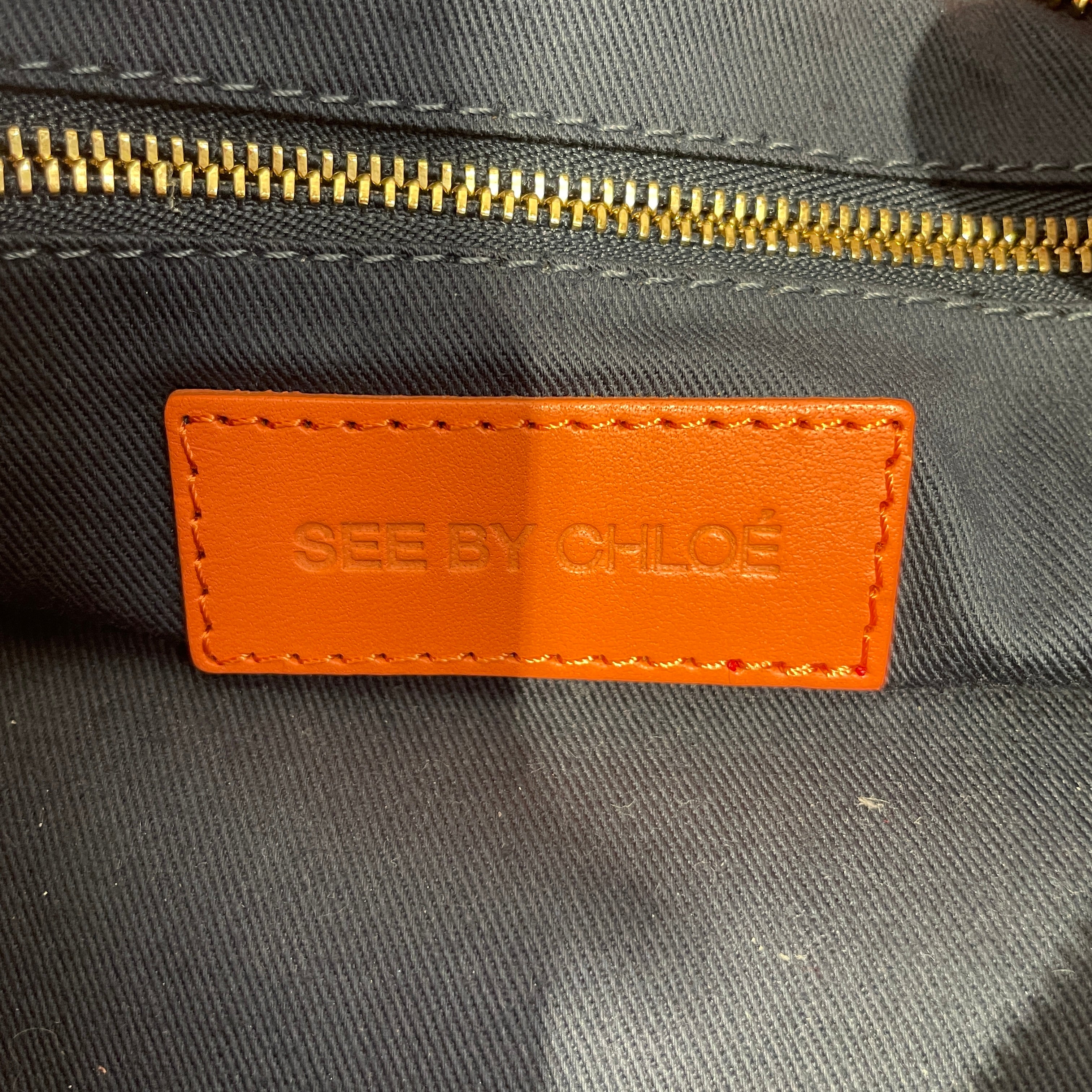 SEE BY CHLOE/Hand Bag/Leather/ORN/CORAL W/ FLORAL STRAP/HARDWARE view 7