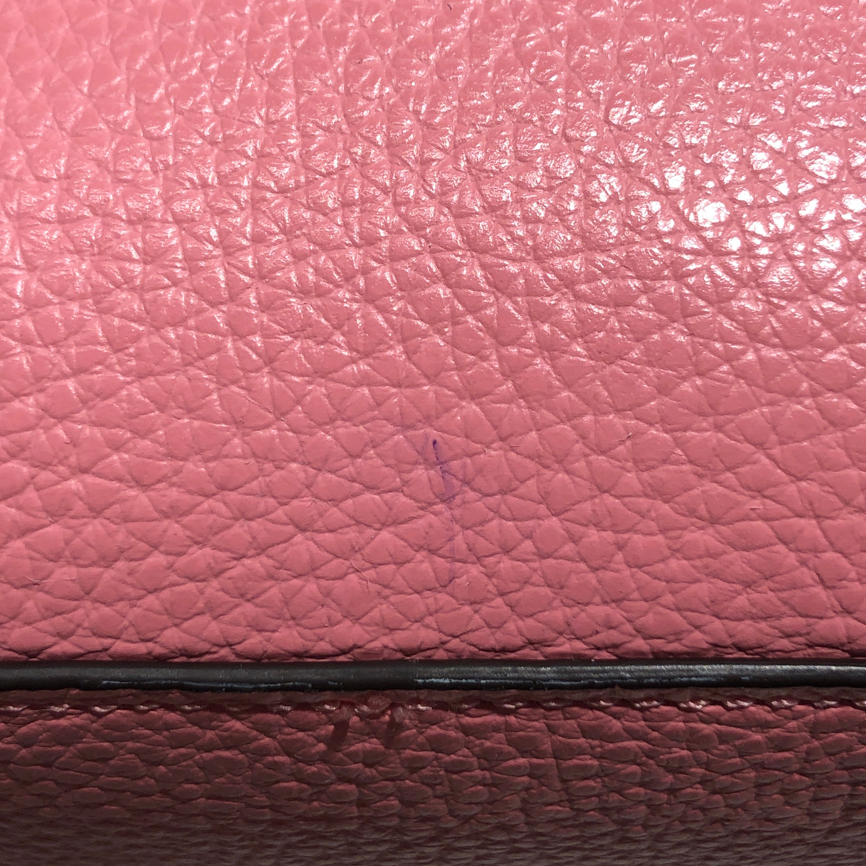 COACH/Cross Body Bag/Leather/PNK/ view 4