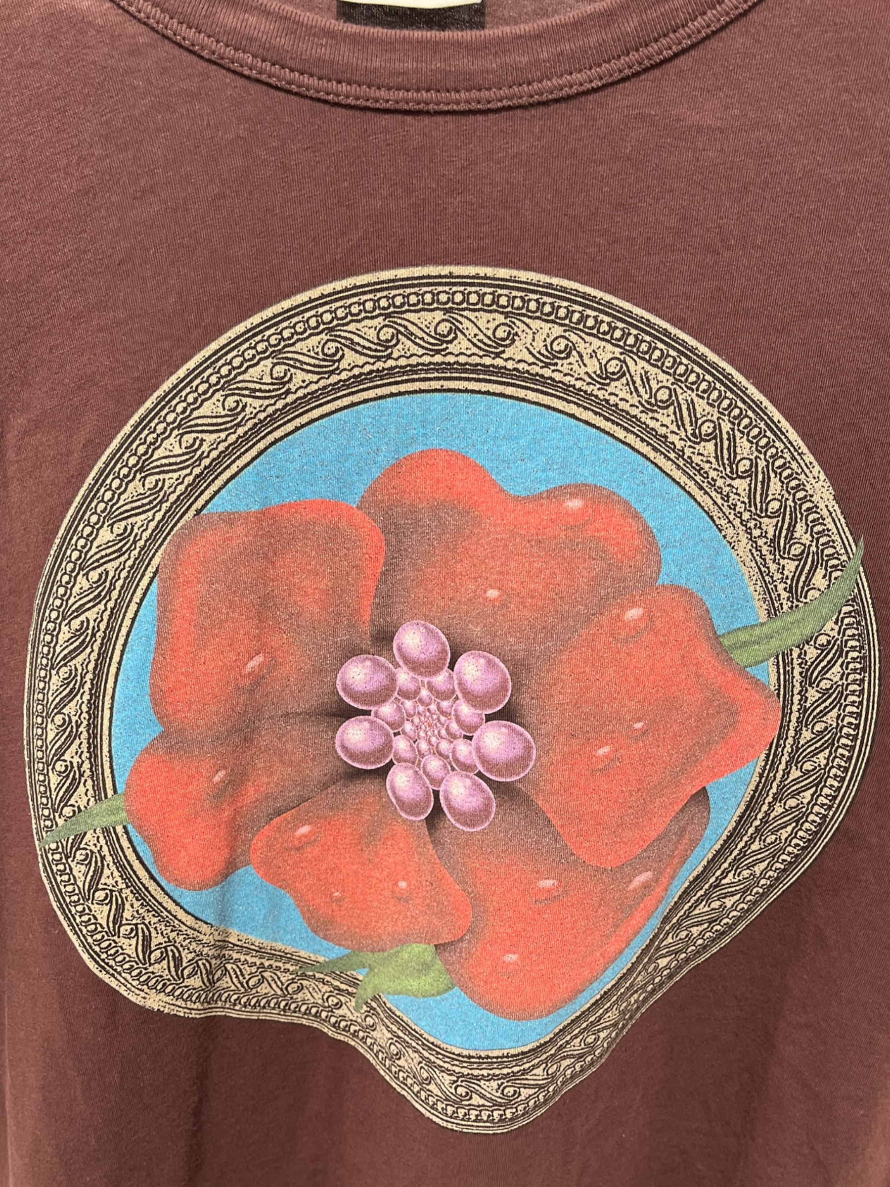 DRIES VAN NOTEN/T-Shirt/M/Cotton/BRW/Graphic/HALBERG FLOWER PRINT TEE view 4