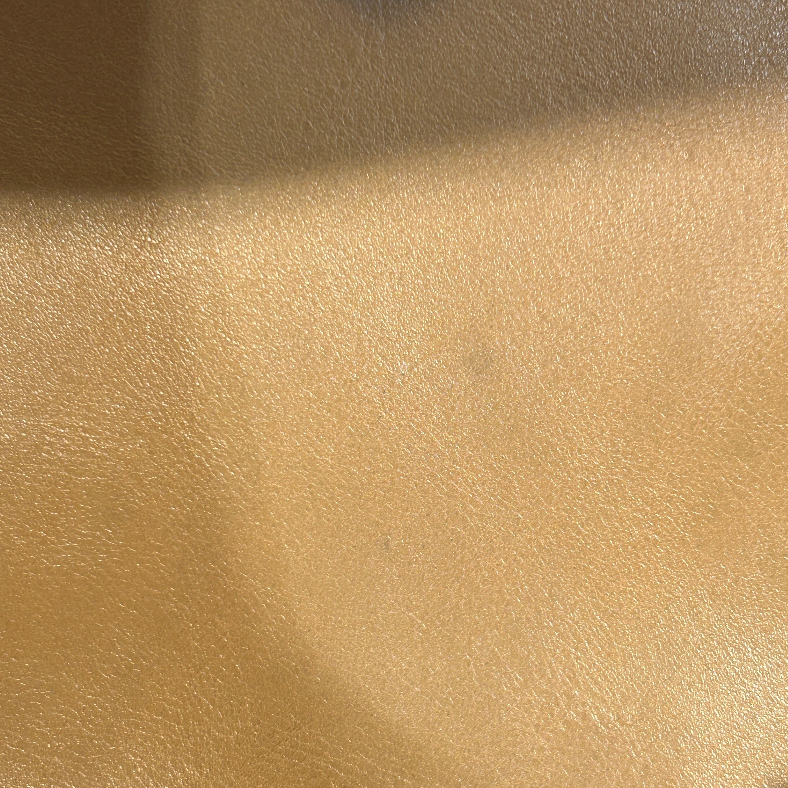 COACH/Bag/Leather/BEG/caryall 28 view 9