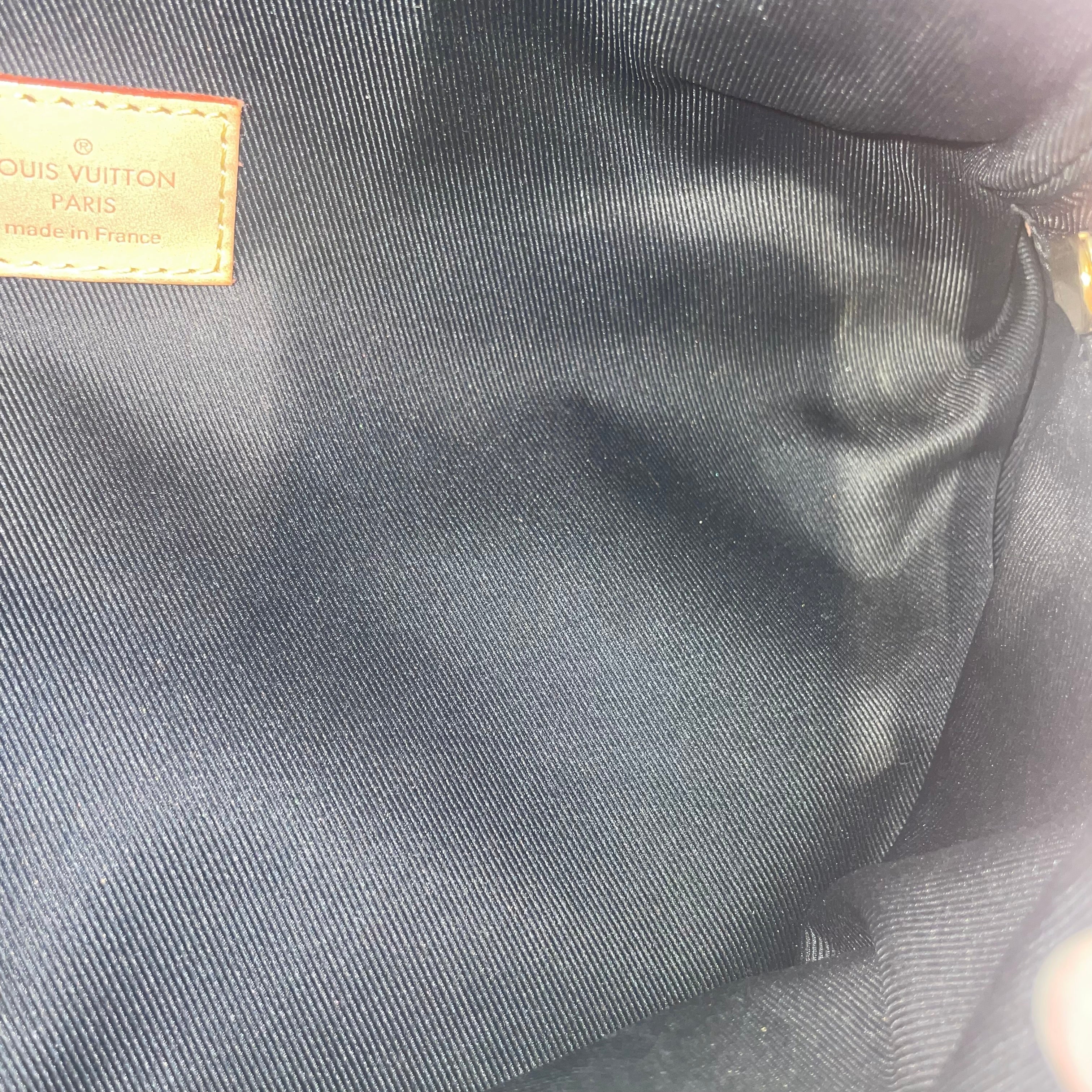 LOUIS VUITTON/Fanny Pack/Monogram/Leather/BRW/bum bag view 6