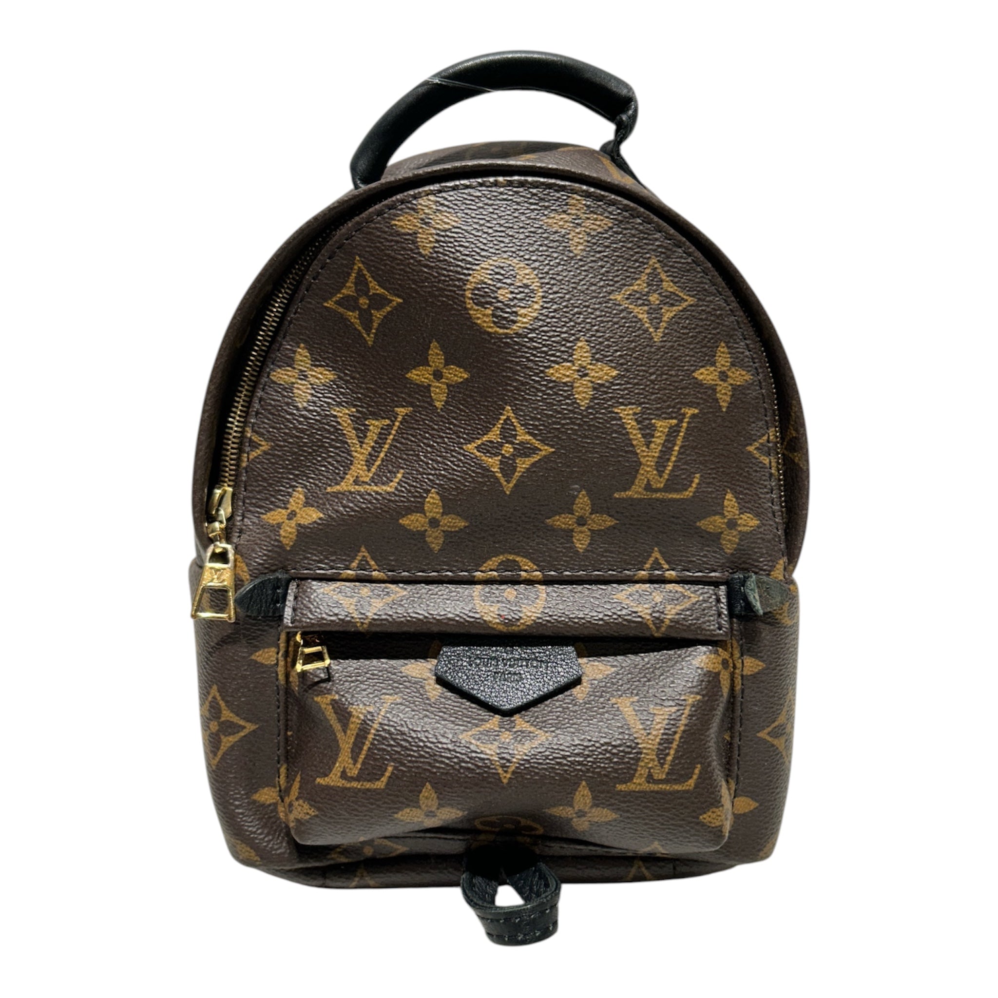 LOUIS VUITTON/Backpack/Monogram/Leather/BRW/MINI BACKPACK PALM SPRINGS view 1