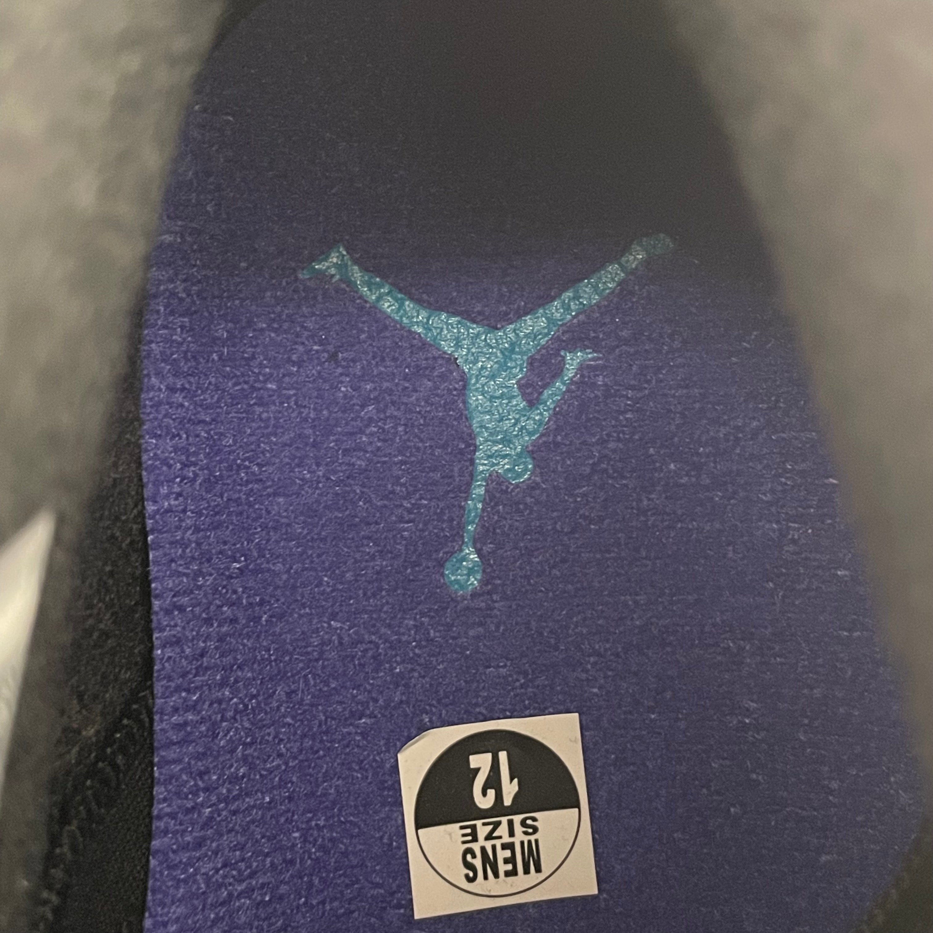 NIKE/Hi-Sneakers/US 12/BLK/retro 6 aqua view 7