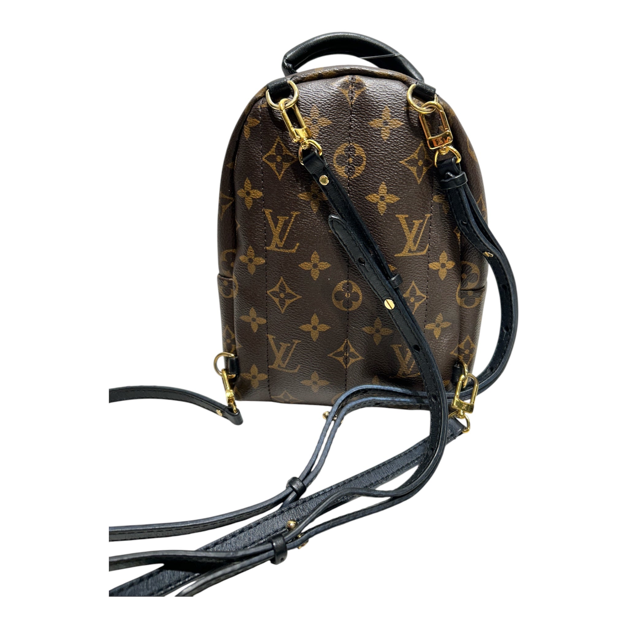LOUIS VUITTON/Backpack/Monogram/Leather/BRW/MINI BACKPACK PALM SPRINGS view 2