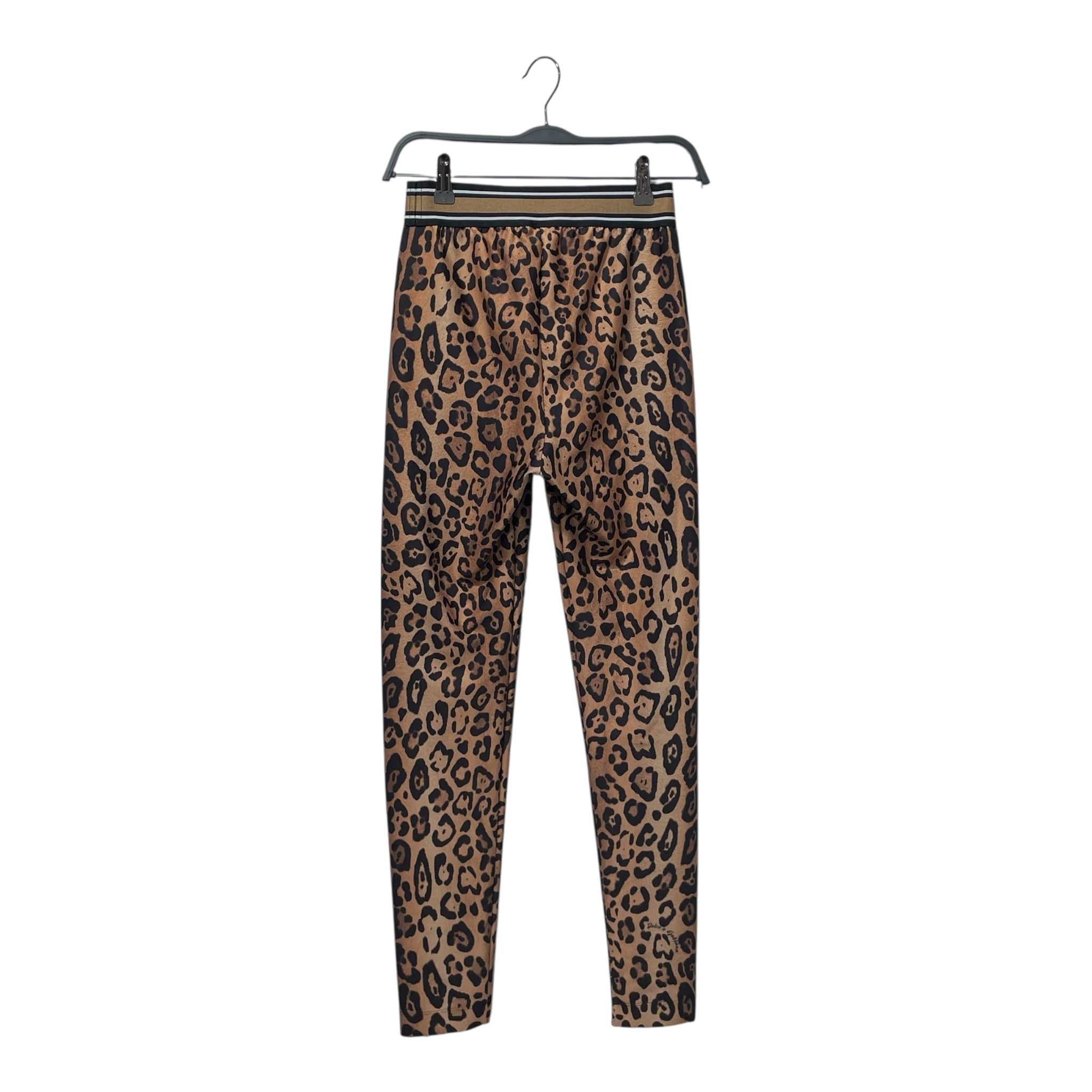 DOLCE&GABBANA/Skinny Pants/48/Leopard/Cotton/BRW/PRINT LEGGINGS view 2