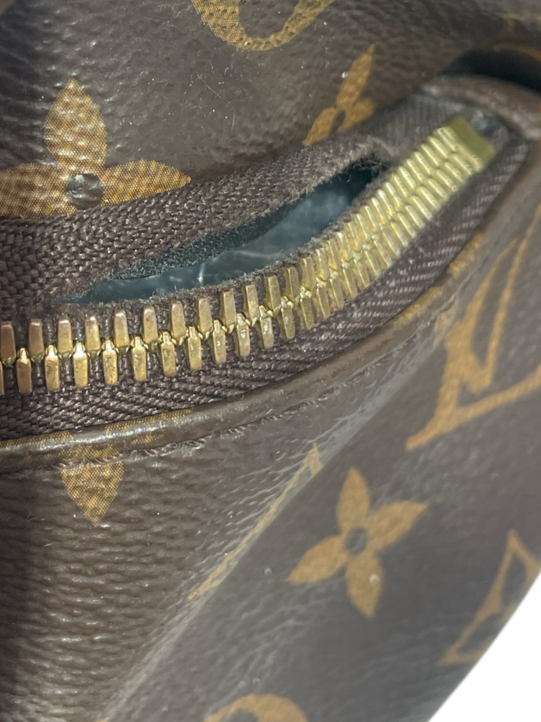 LOUIS VUITTON/Fanny Pack/Monogram/BRW/LV MONOGRAM FANNY PACK view 6
