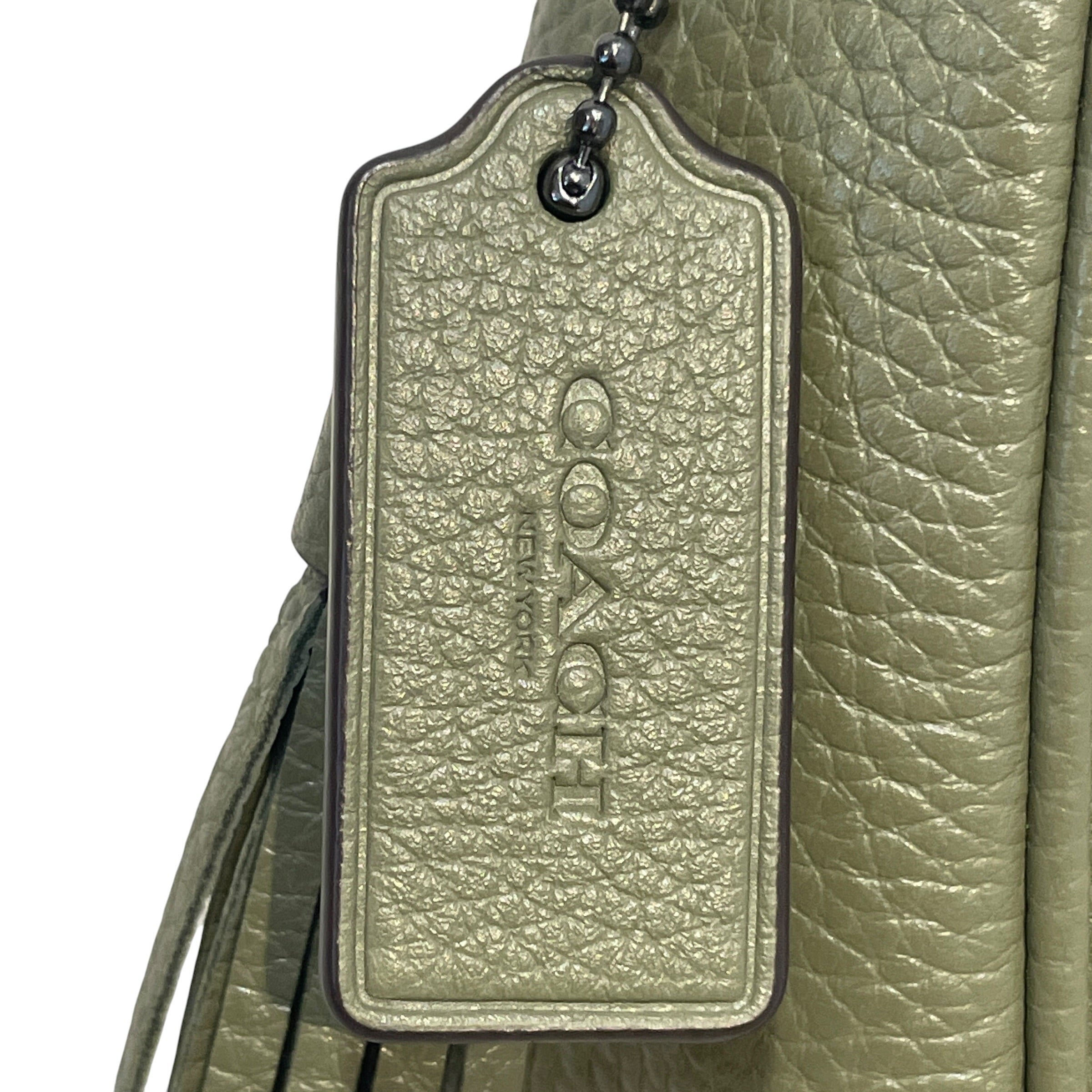 COACH/Hand Bag/Leather/GRN/Carmen Mini Pebble Leather view 5