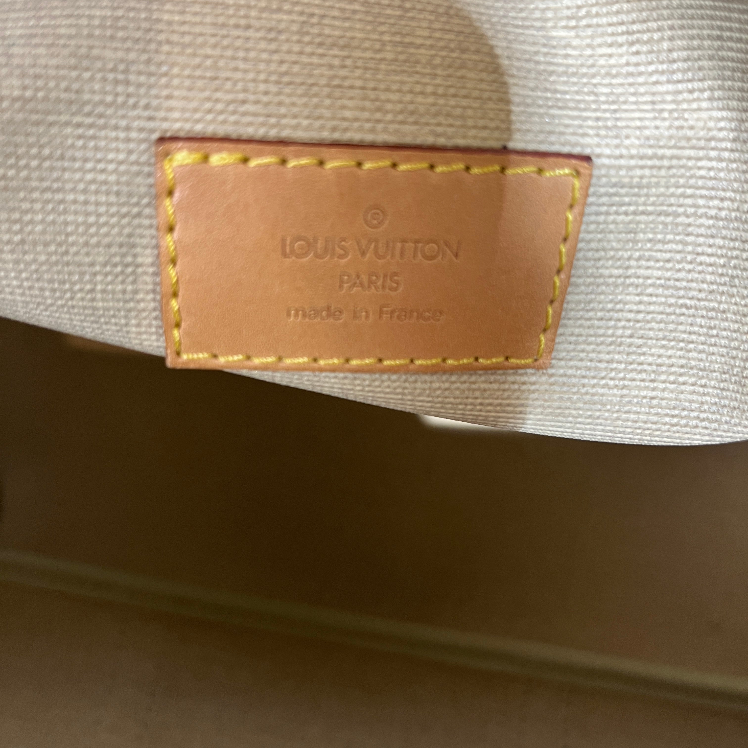 LOUIS VUITTON/Luggage/Monogram/Leather/BRW/Sirius 45 view 4