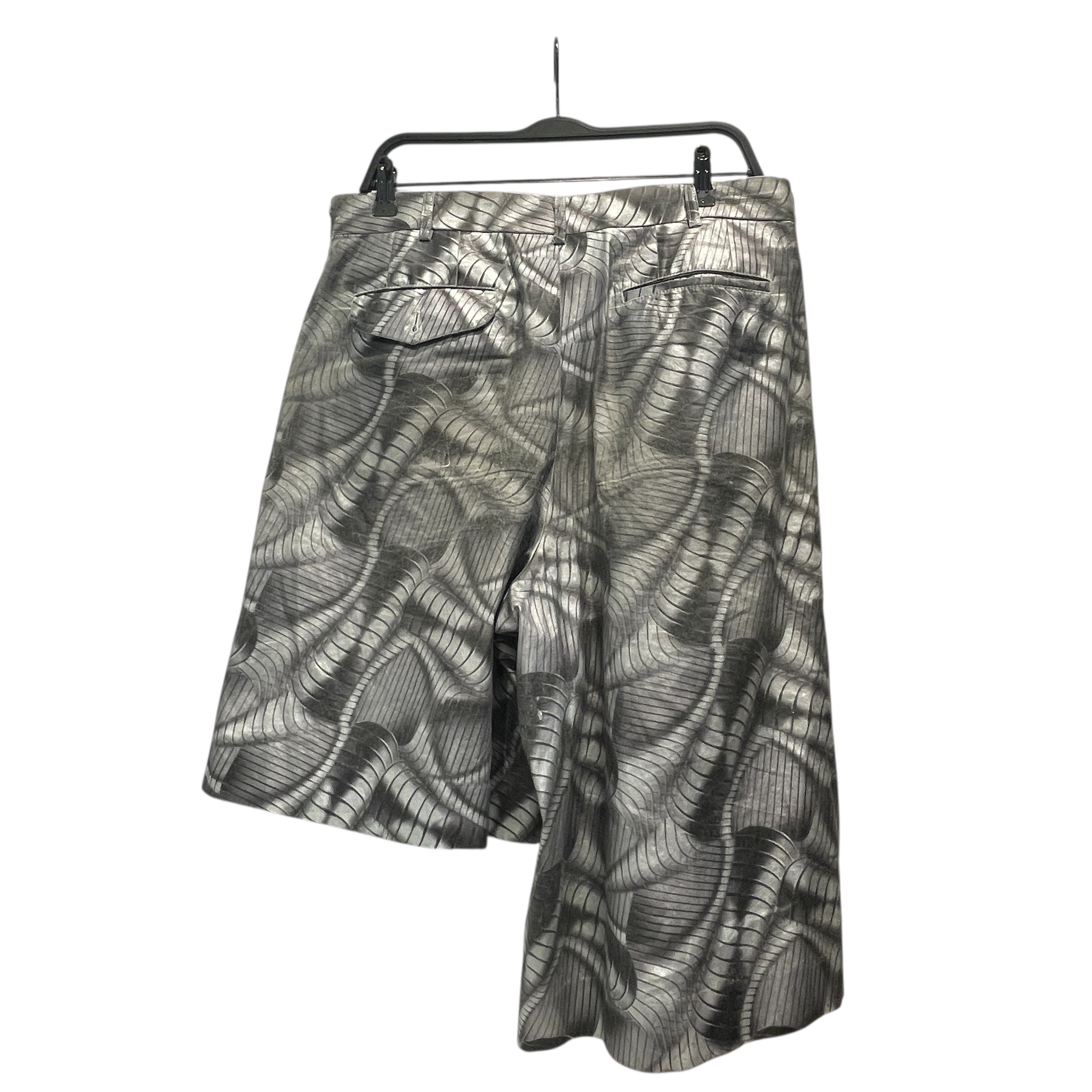 COMME des GARCONS HOMME PLUS/Shorts/S/Cotton/SLV/All Over Print/Pg-P015 view 2