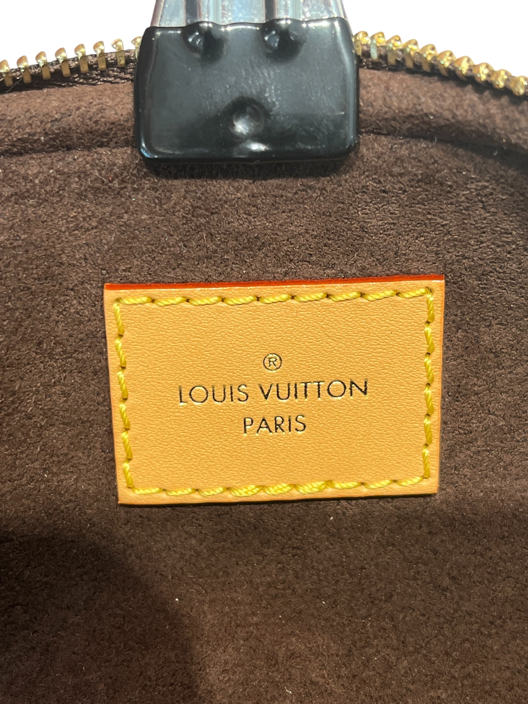 LOUIS VUITTON/Bag/Monogram/Leather/BRW/MINI BUM BAG view 5