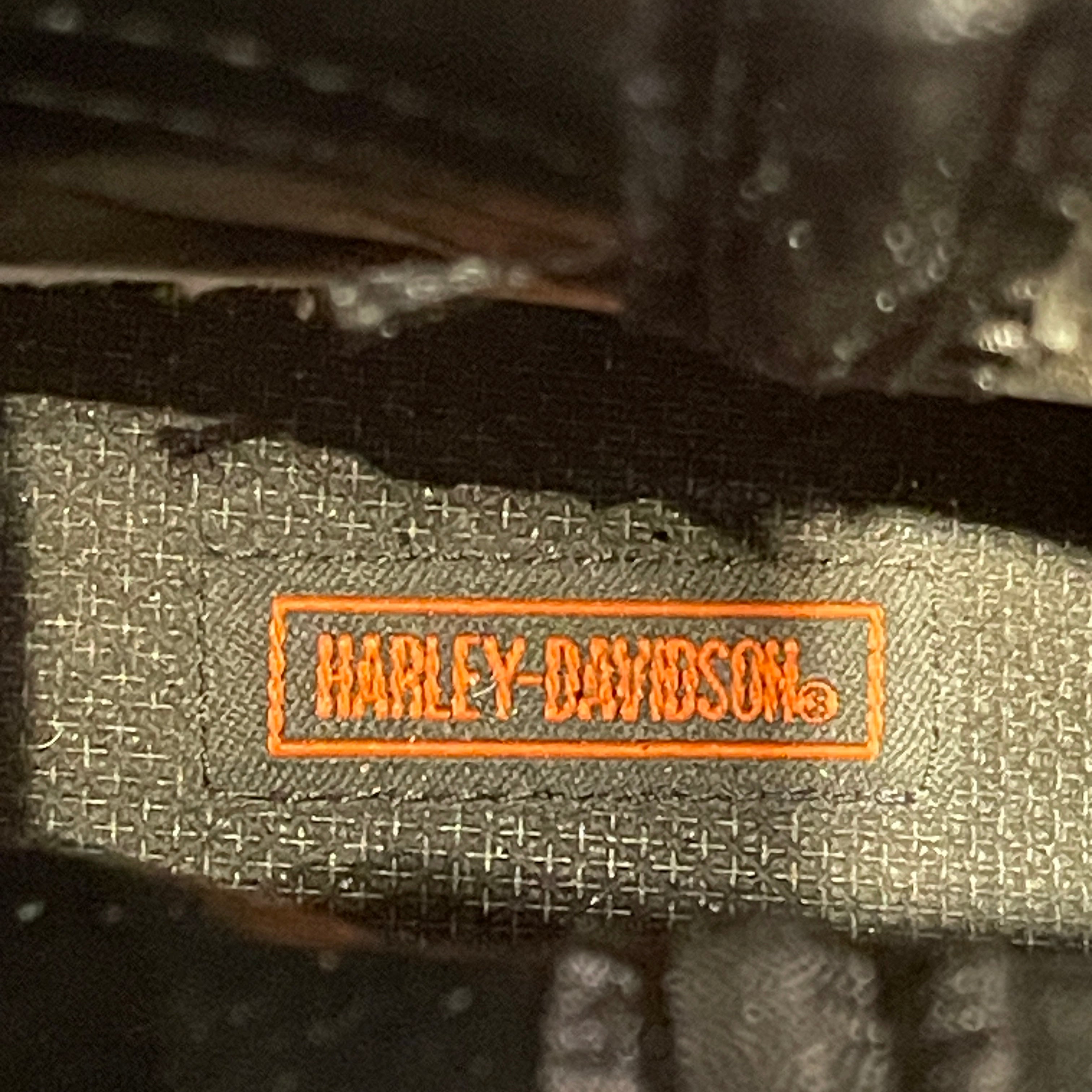 HARLEY DAVIDSON/Cowboy Boots/US 12/Graphic/Leather/BLK/buckle/orange flames/metal toe view 5