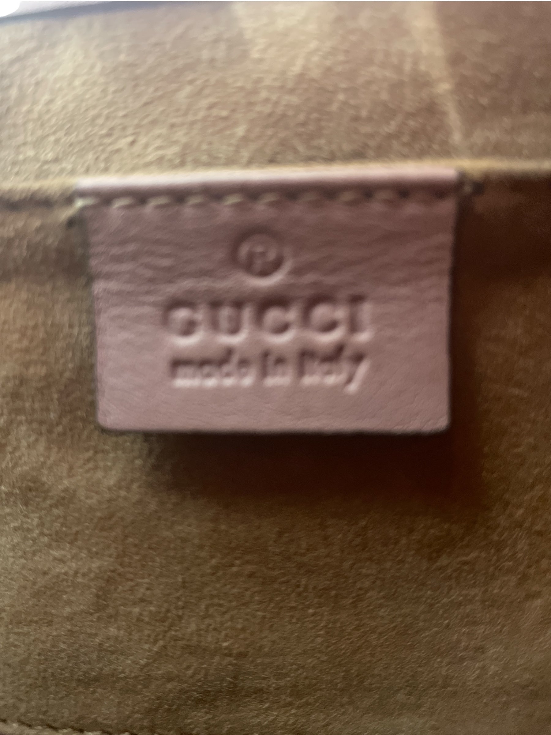 GUCCI/Cross Body Bag/FREE/Animal Pattern/CML/409487 SNAKESKIN view 4