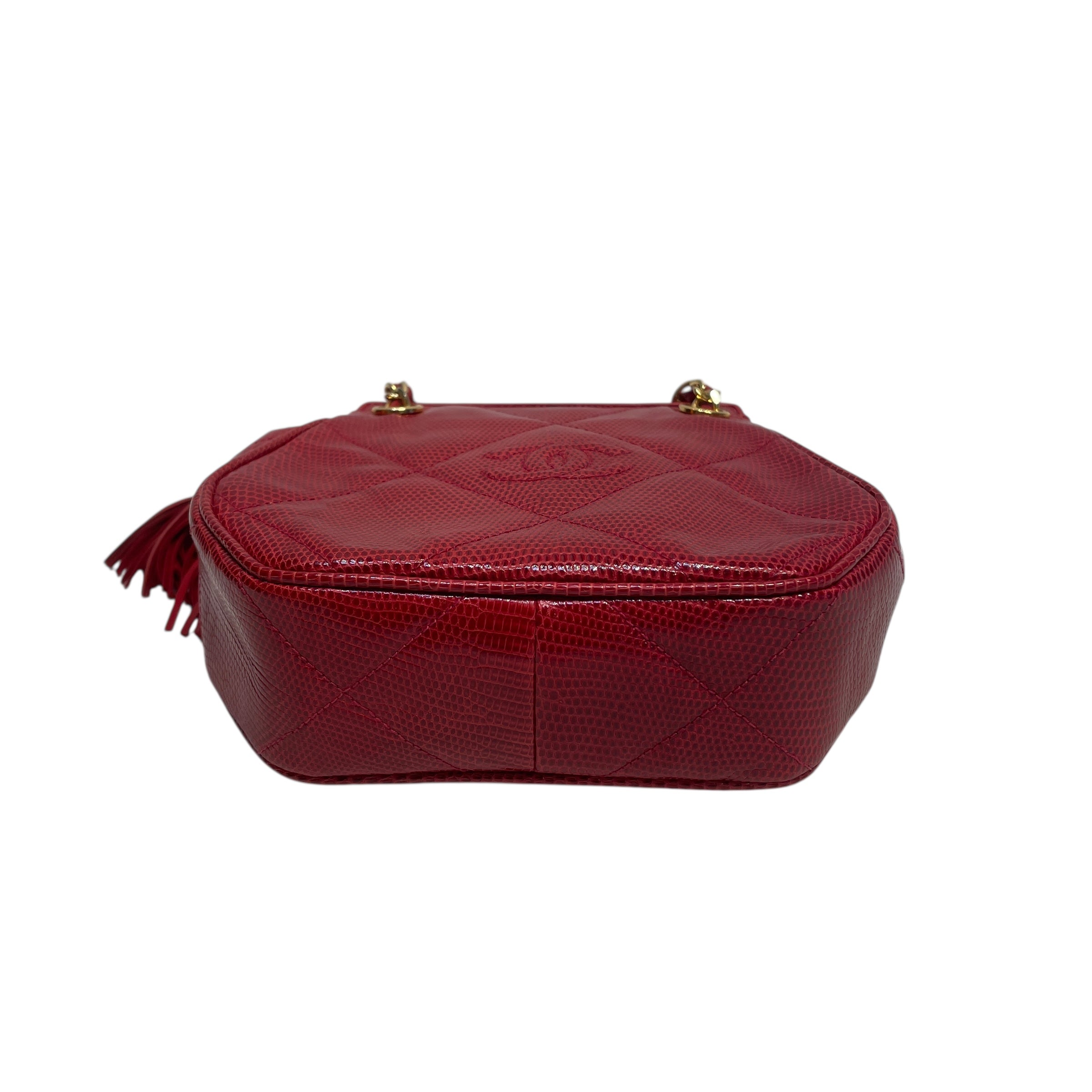 CHANEL/Bag/Animal Pattern/Leather/RED/TASSLE view 3