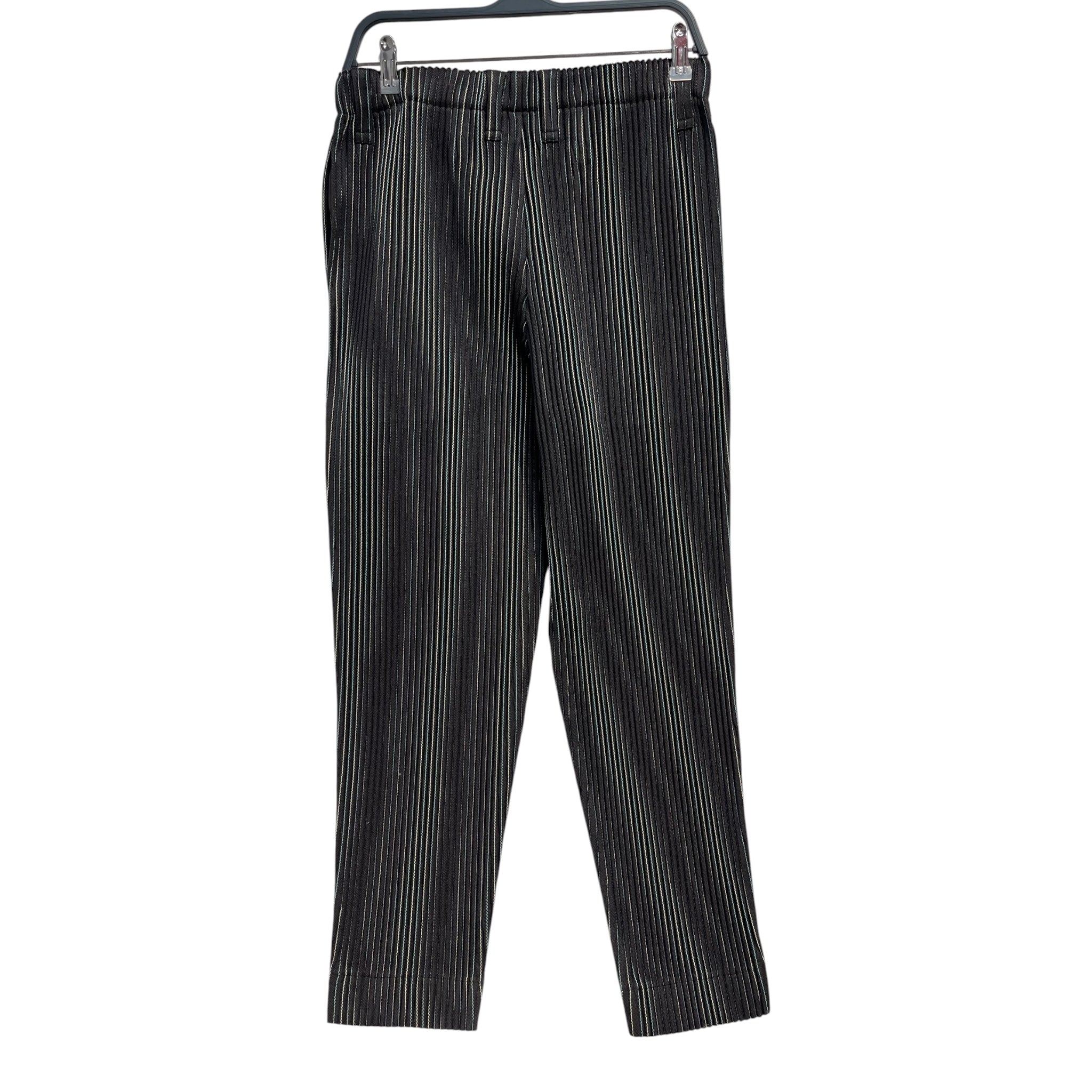 ISSEY MIYAKE/Pants/2/Polyester/BRW/pleated baby blue cream stripe view 2