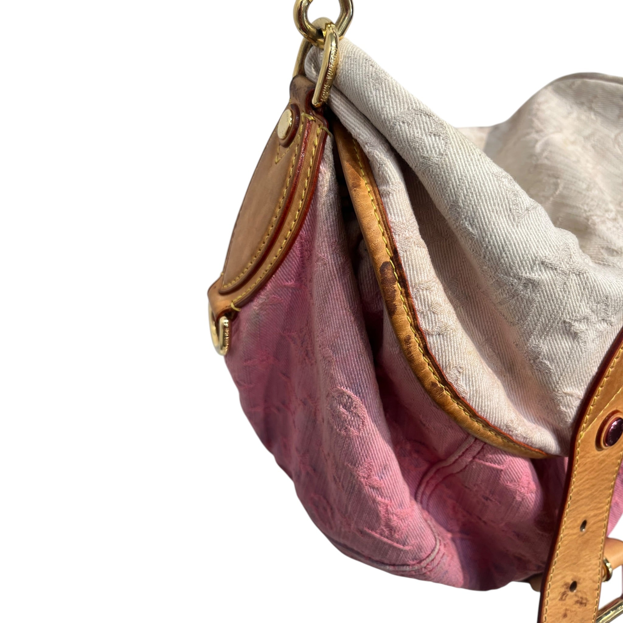 LOUIS VUITTON/Hand Bag/Cotton/MLT/pink ombre 2010 view 10