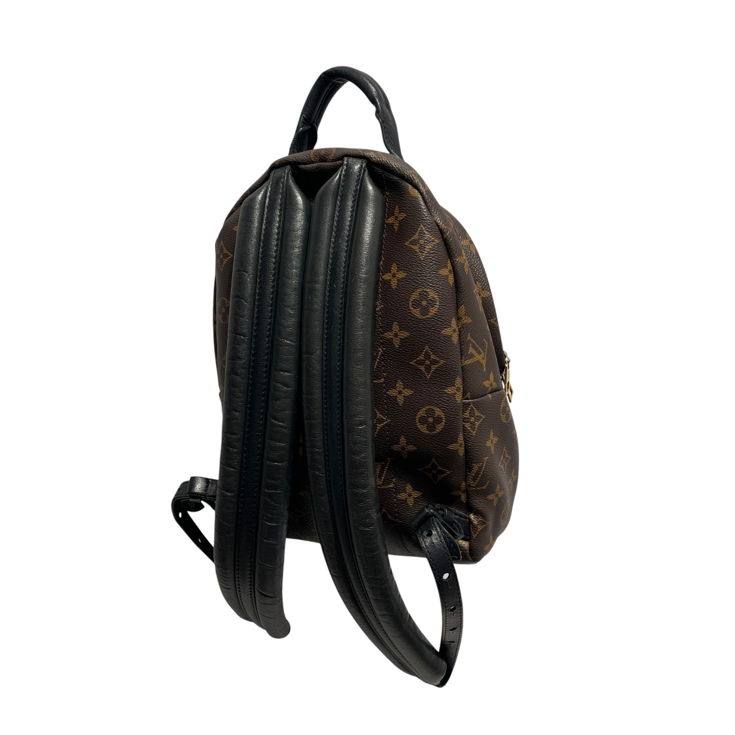 LOUIS VUITTON/Backpack/Monogram/Leather/BRW/palm springs PM backpack view 2