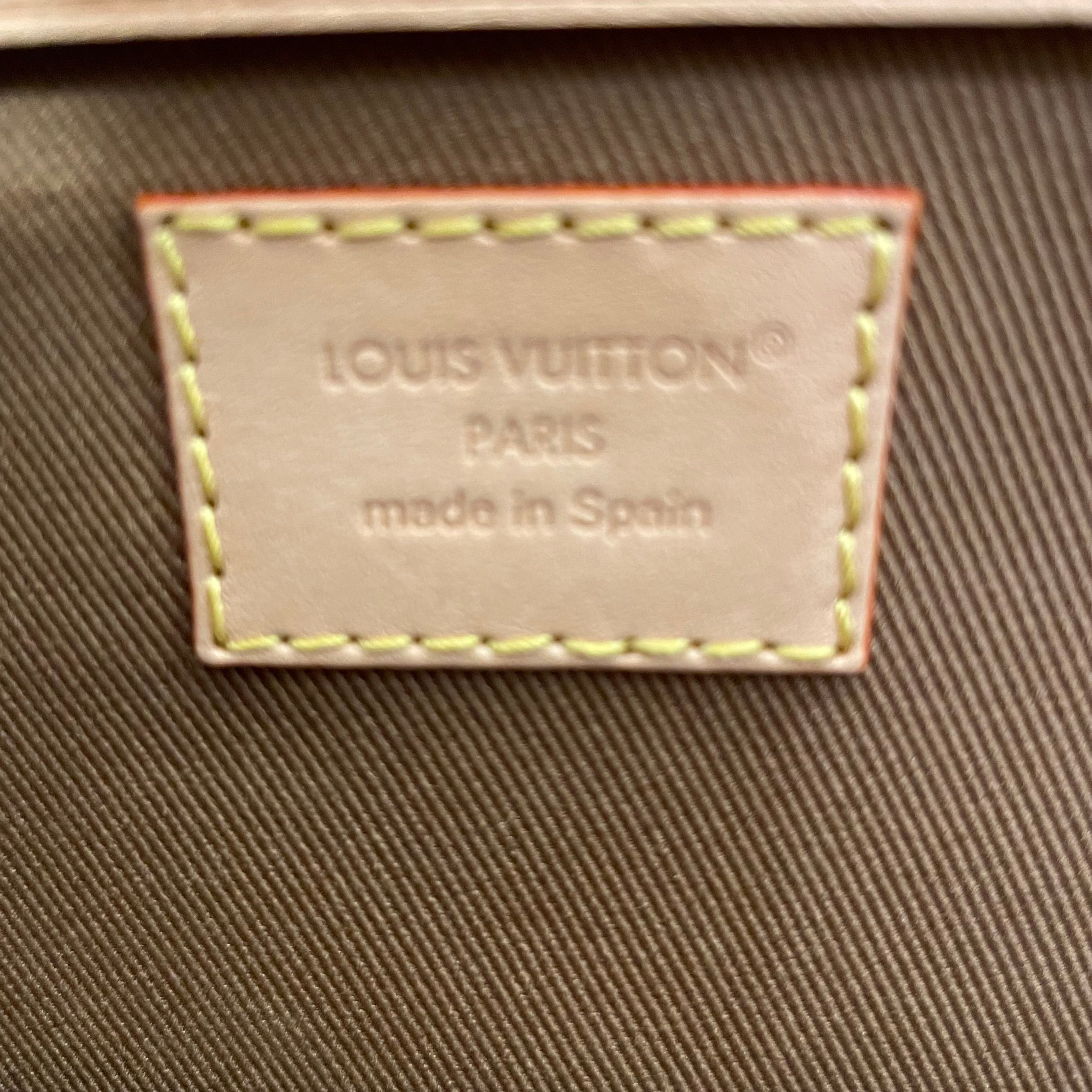 LOUIS VUITTON/Backpack/Monogram/Leather/BRW/Monogram Montsouris view 11