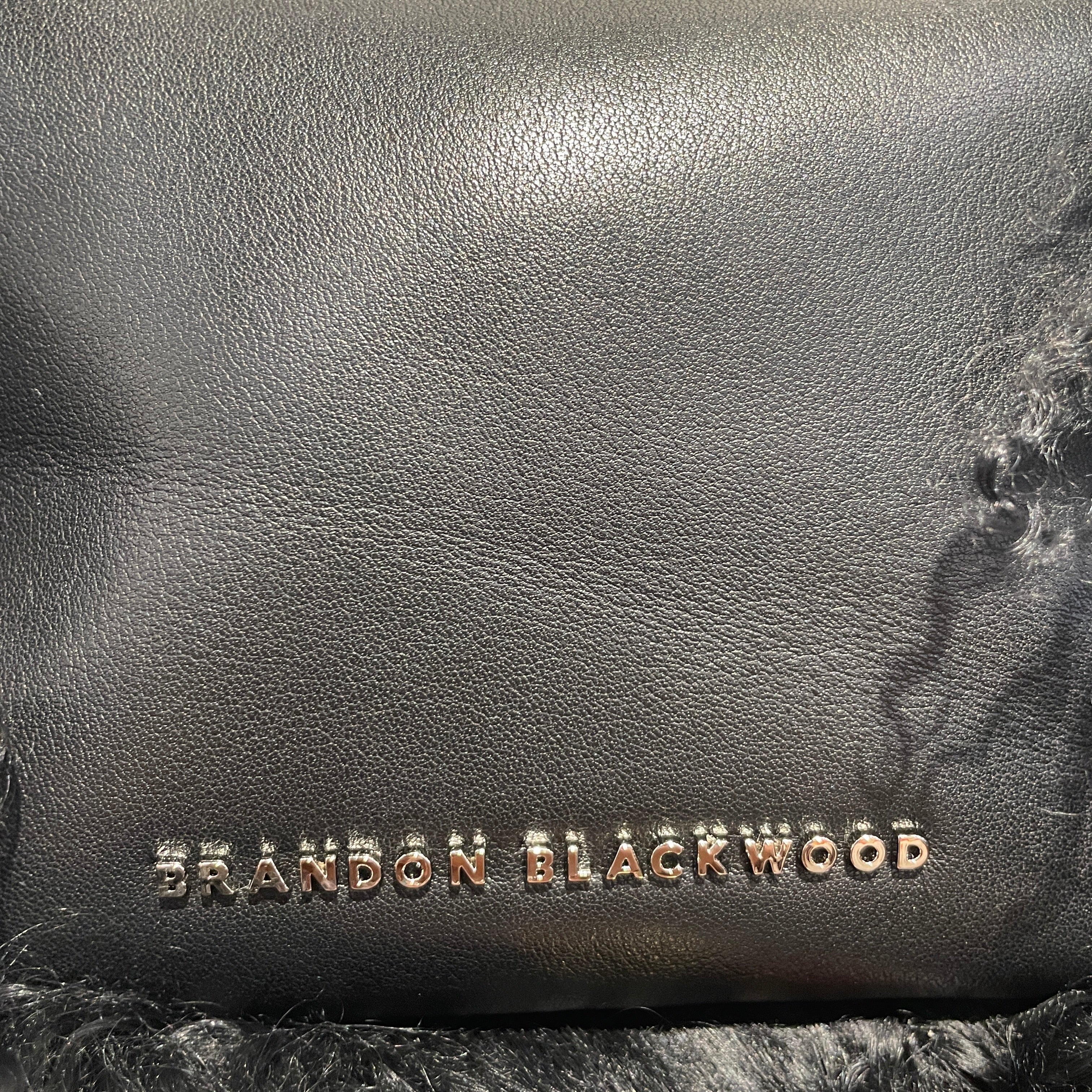 BRANDON BLACKWOOD/Hand Bag/Acrylic/BLK/ view 3