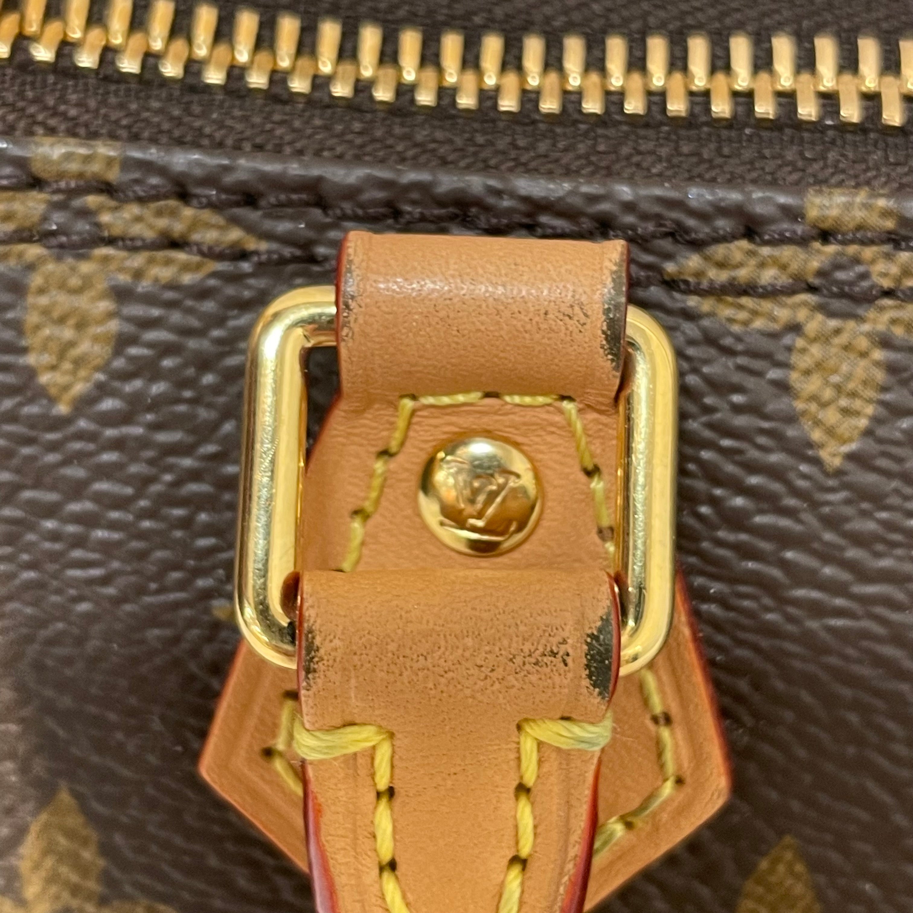 LOUIS VUITTON/Cross Body Bag/Monogram/Leather/BRW/Nano Speedy view 12