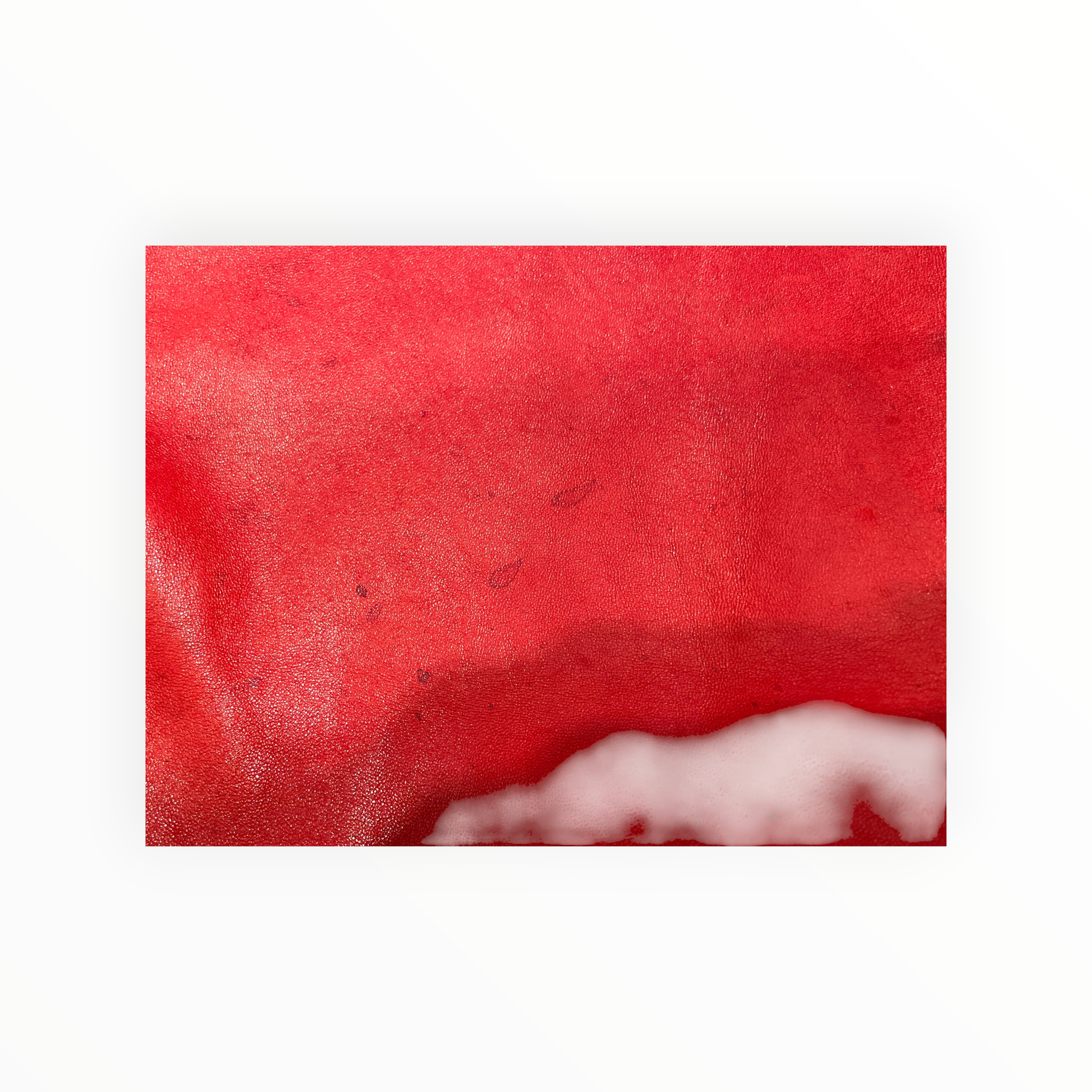 VALENTINO/Hand Bag/Floral Pattern/Leather/RED/ view 11