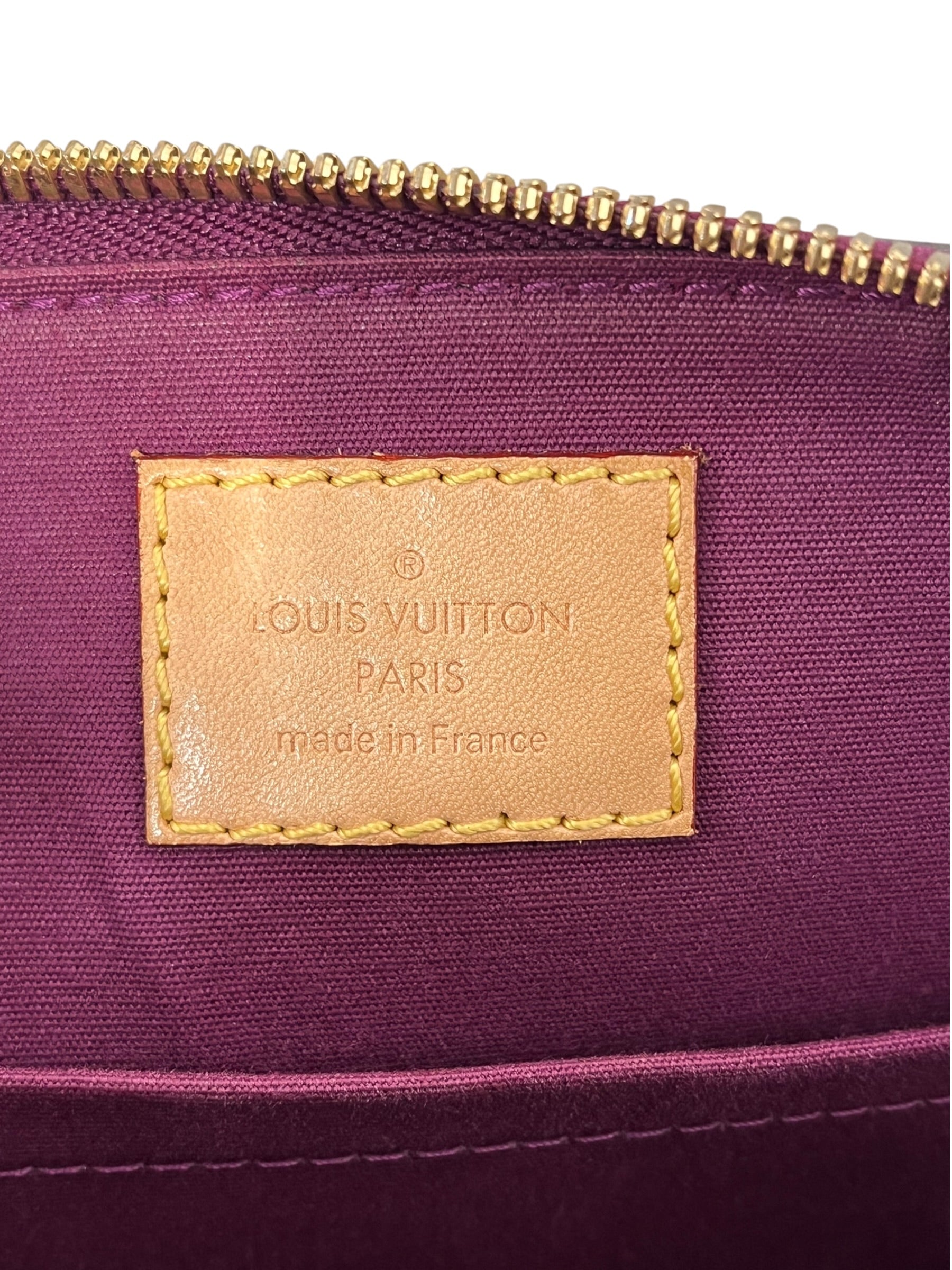 LOUIS VUITTON/Bag/Faux Leather/BRD/VERNIS ALMA view 5