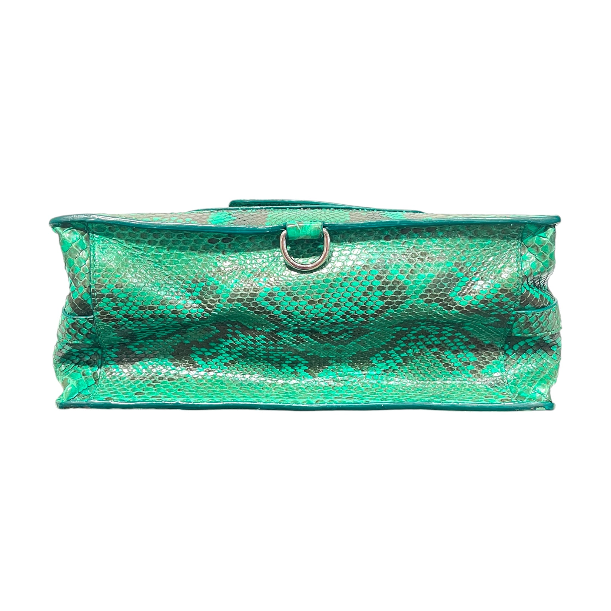 PROENZA SCHOULER/Cross Body Bag/Animal Pattern/GRN/python cross body tote view 3
