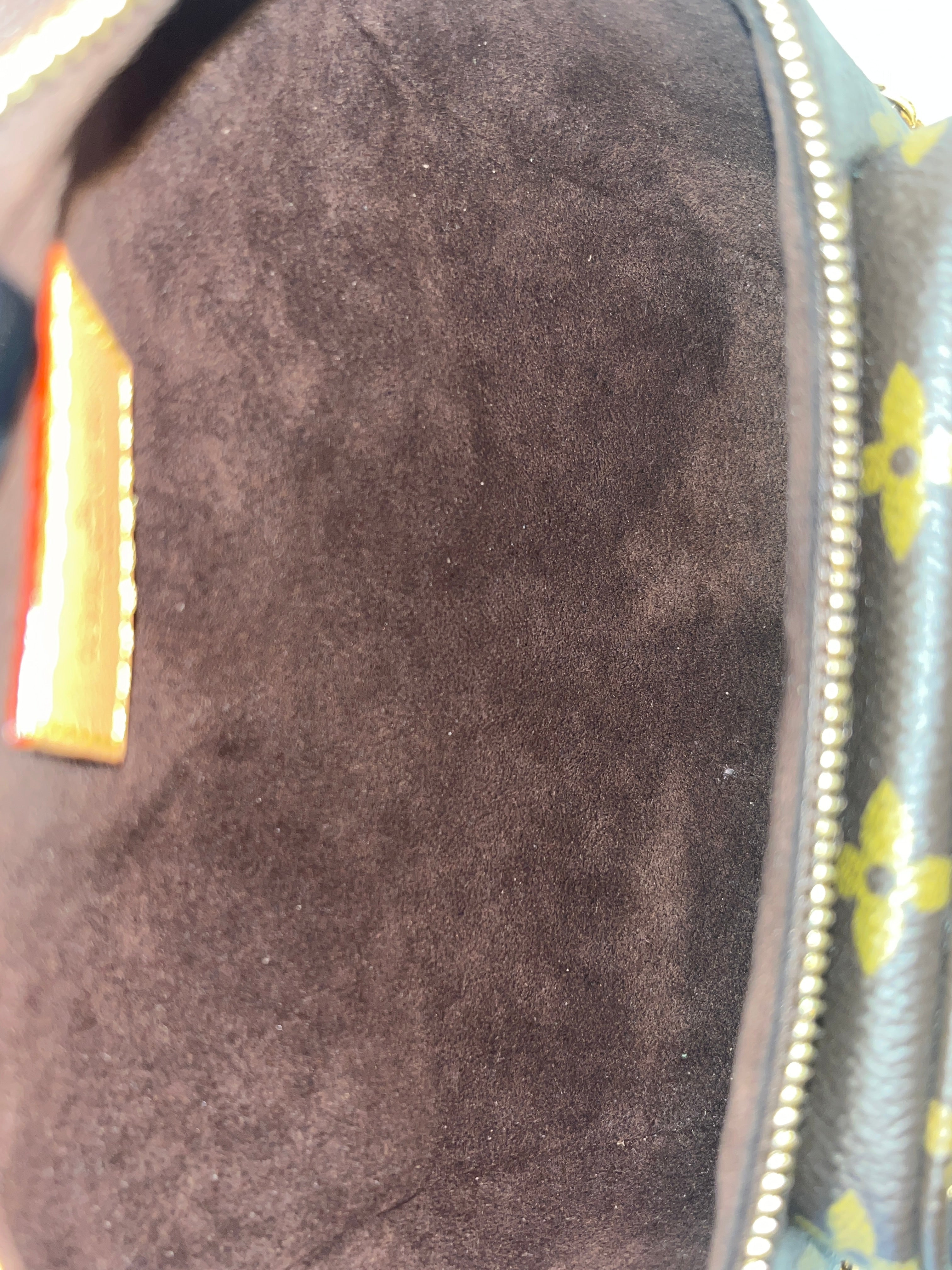 LOUIS VUITTON/Bag/Monogram/Leather/BRW/MINI BUM BAG view 4