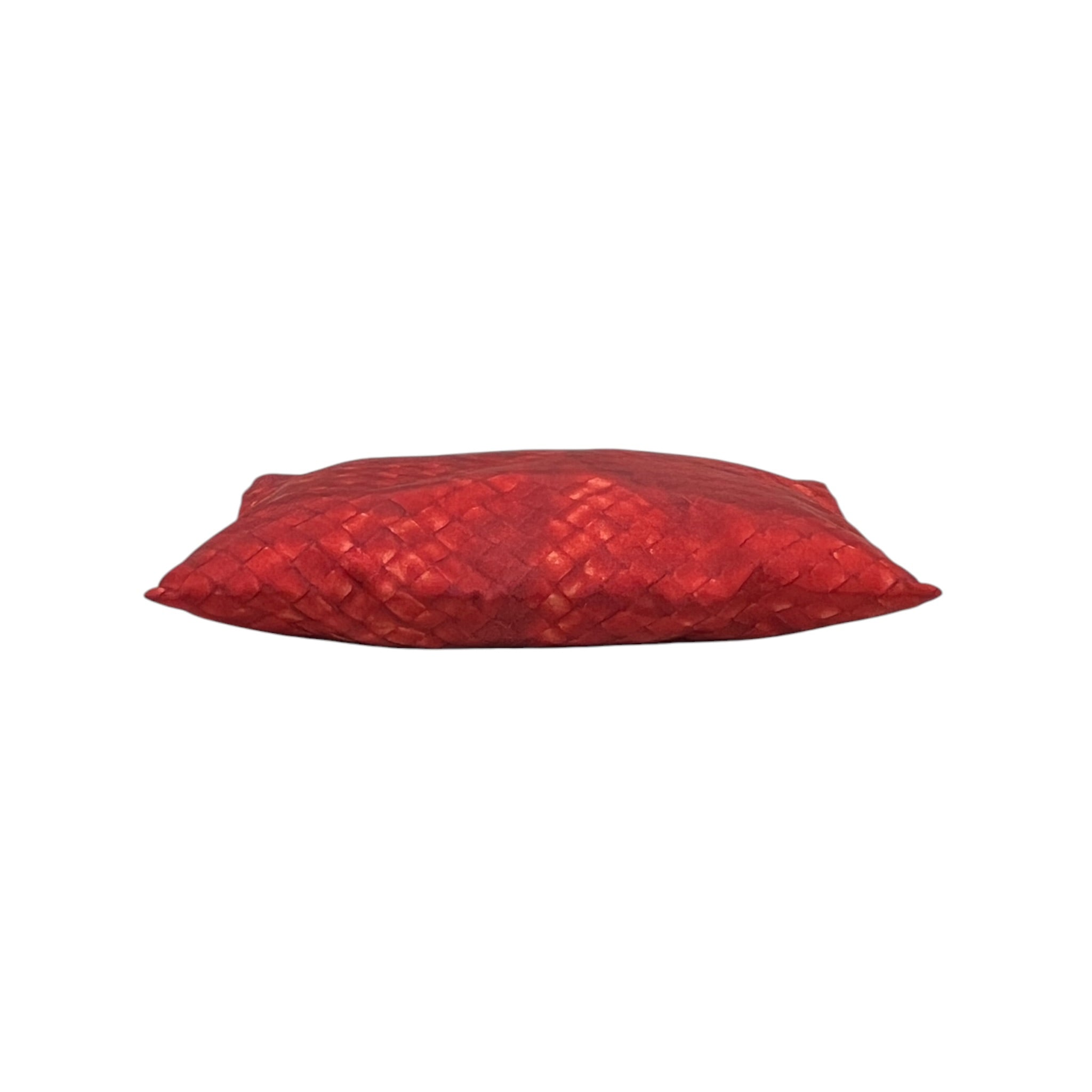 BOTTEGA VENETA/Pouch/All Over Print/Nylon/RED/INTERCCIOLUSION view 3
