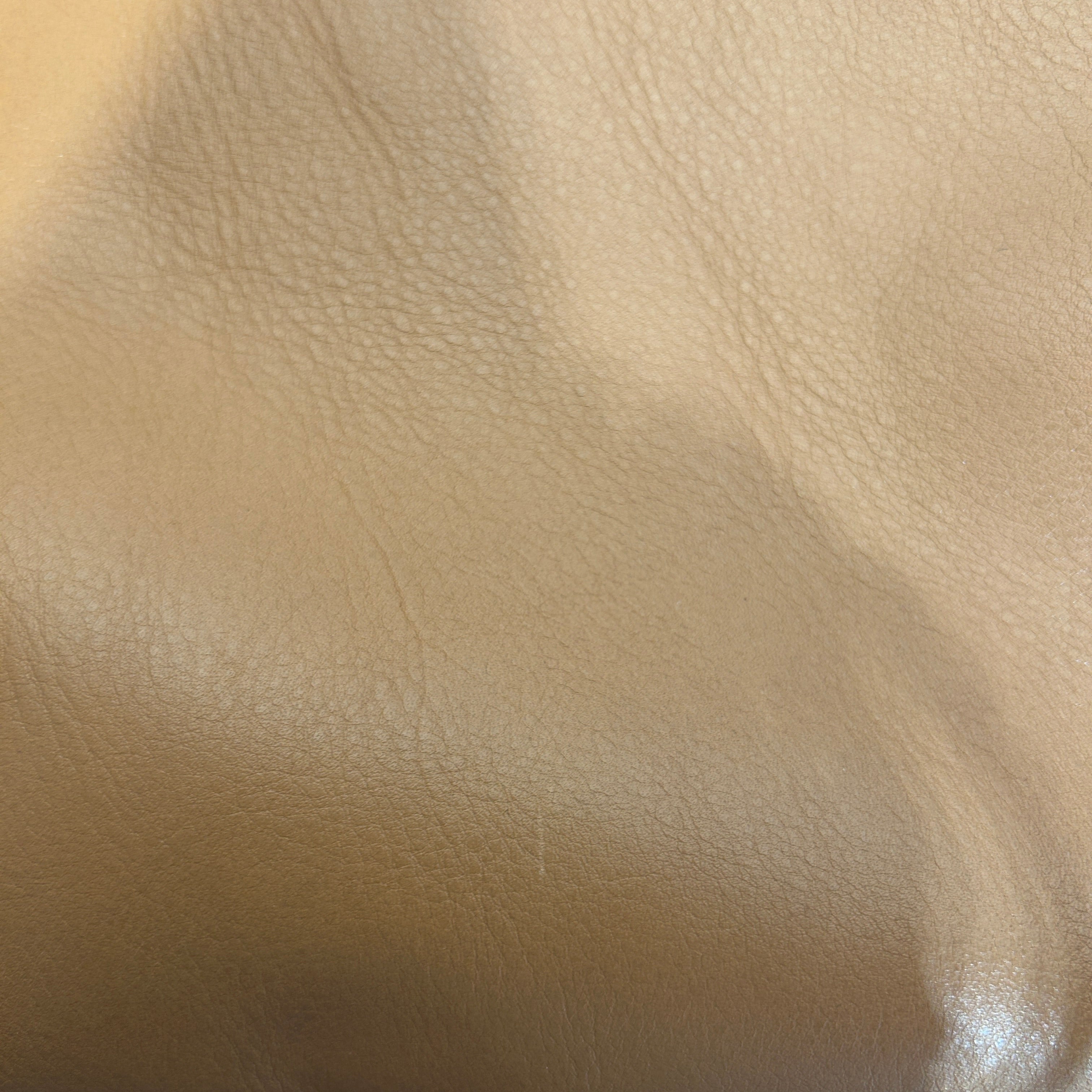 COACH/Bag/Leather/BEG/caryall 28 view 8