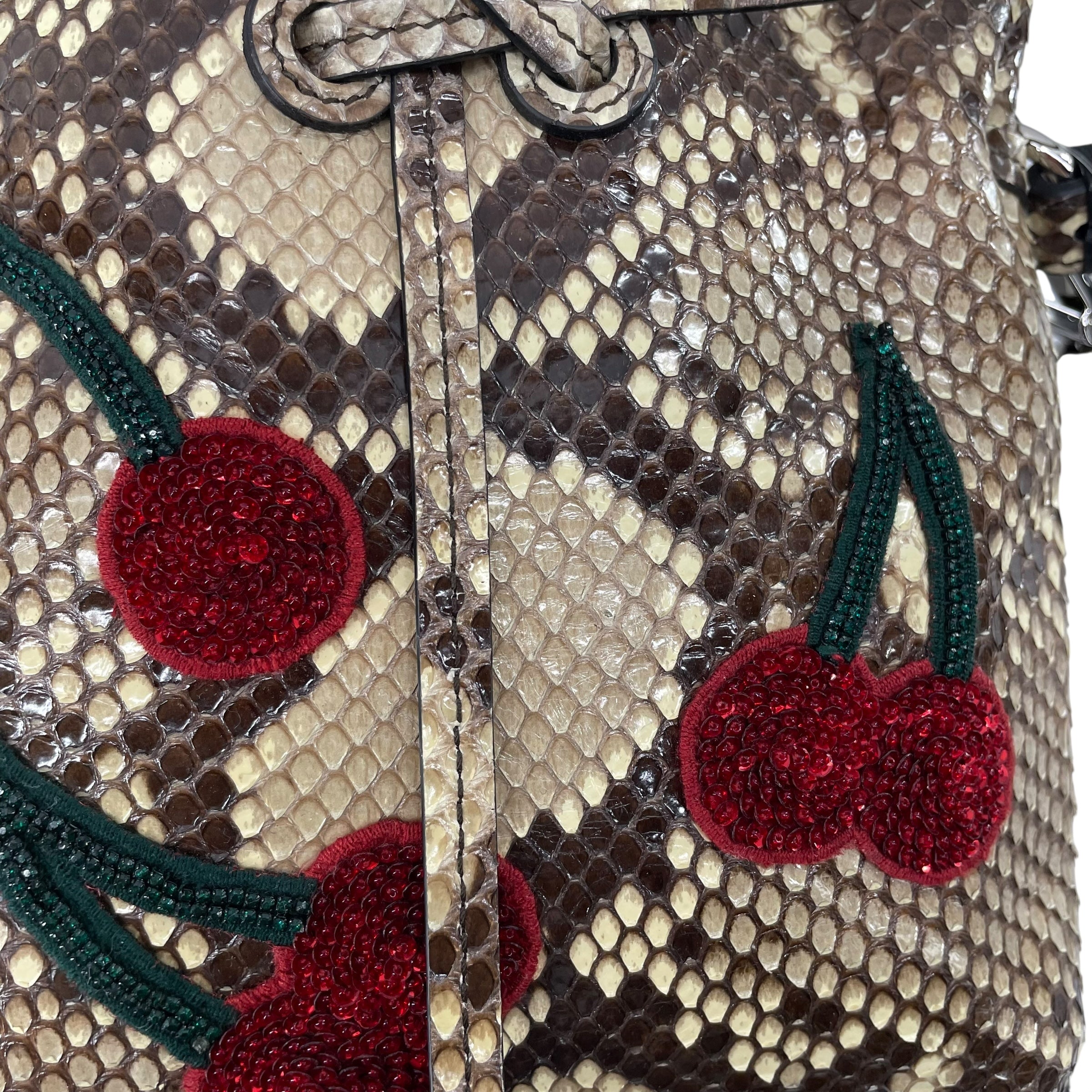 ALTUZARRA/Cross Body Bag/Animal Pattern/Leather/BEG/SNAKESKIN + CHERRIES view 5