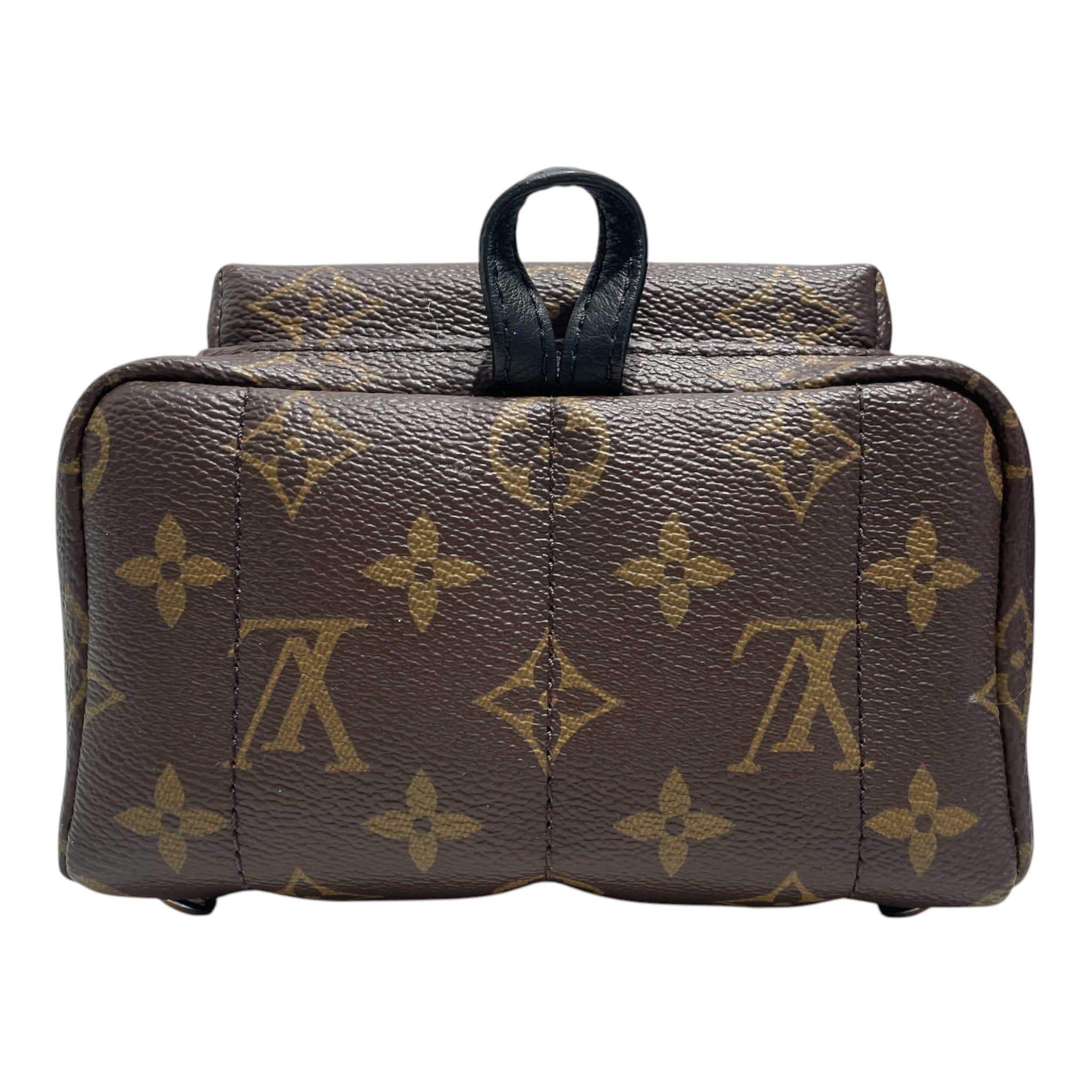 LOUIS VUITTON/Backpack/Monogram/Leather/BRW/Palm Spring mini view 3