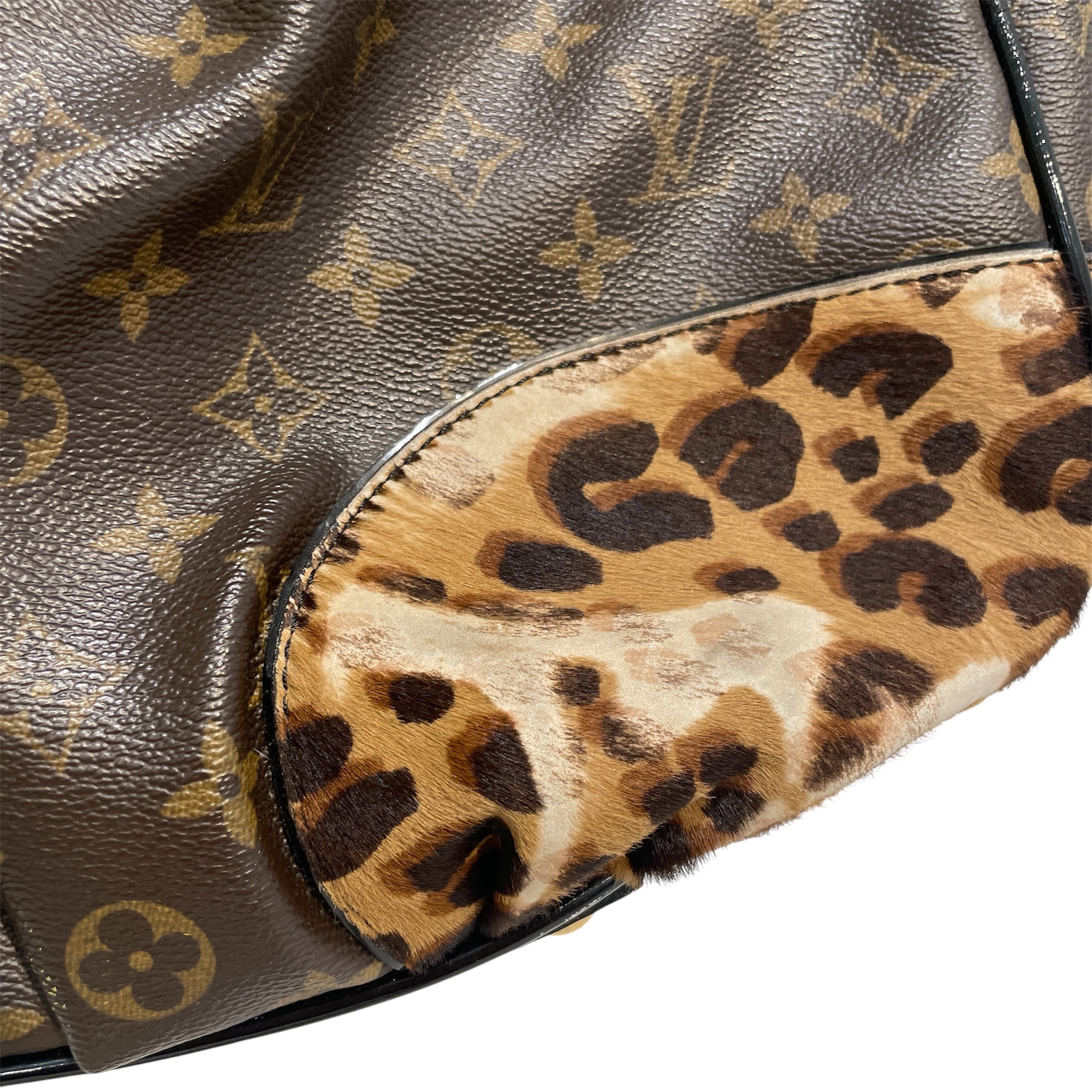 LOUIS VUITTON/Hand Bag/Monogram/Leather/BRW/Monogram Leopard Polly view 7