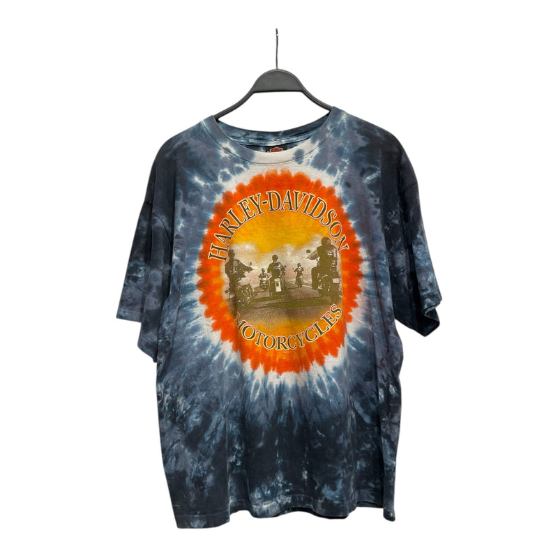 HARLEY DAVIDSON/T-Shirt/L/Cotton/MLT/PIGEON FORGE