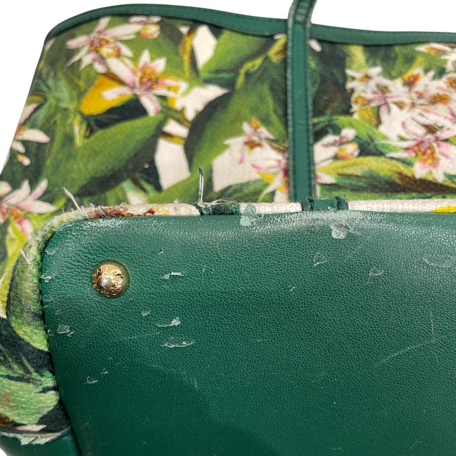 DOLCE&GABBANA/Tote Bag/OS/Floral Pattern/Cotton/MLT/GREEN LEATHER WITH FLORAL view 8