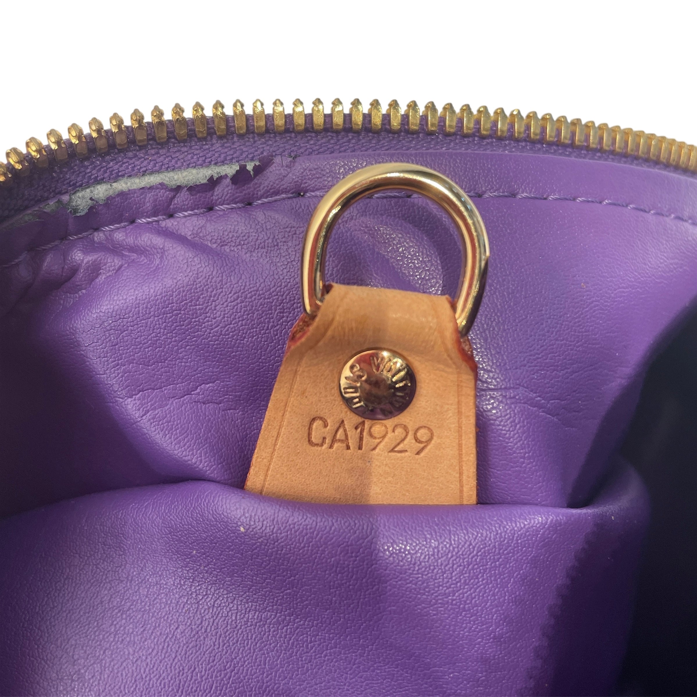 LOUIS VUITTON/Tote Bag/Monogram/Leather/PPL/VERNIS SUTTON BAG view 5