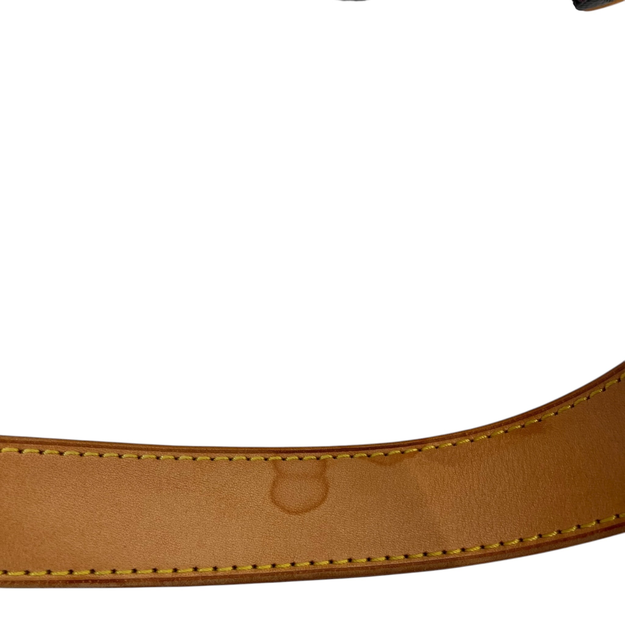 LOUIS VUITTON/Bag/Monogram/Leather/MLT/Multicolor Monogram Lodge Bag view 9